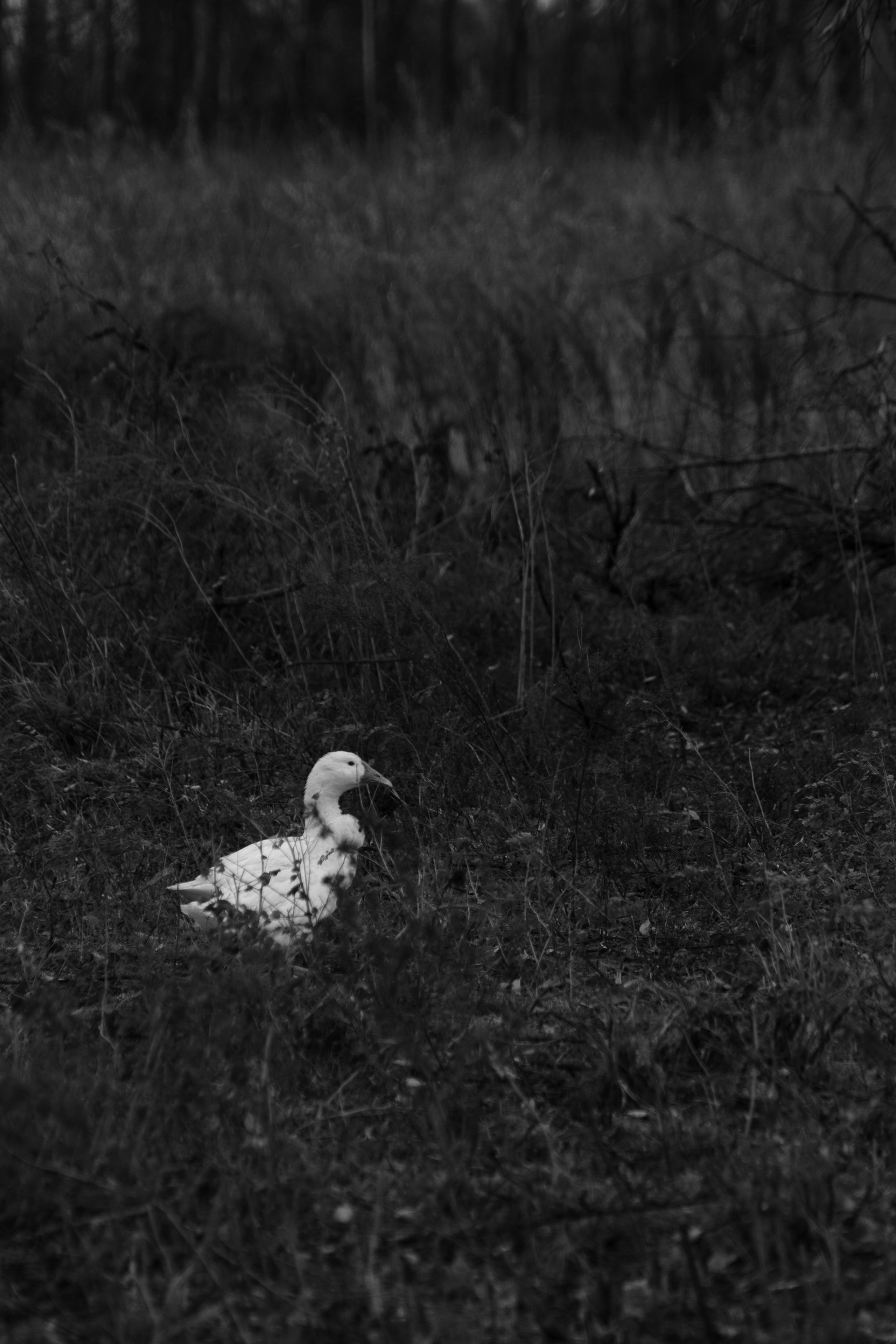 Бекстейдж сьемки кино