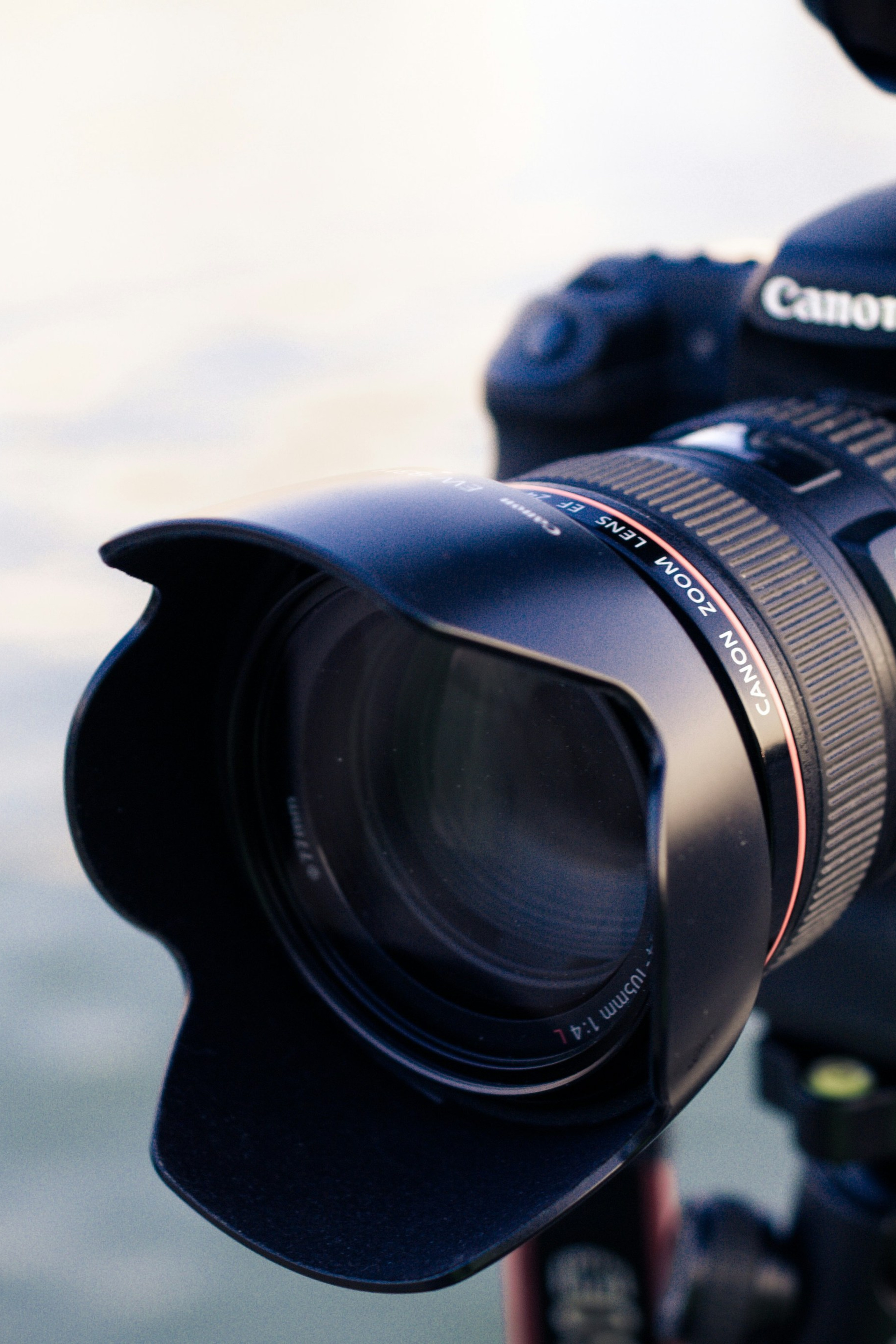 Family and Maternity Photoshoots Tips in Dubai