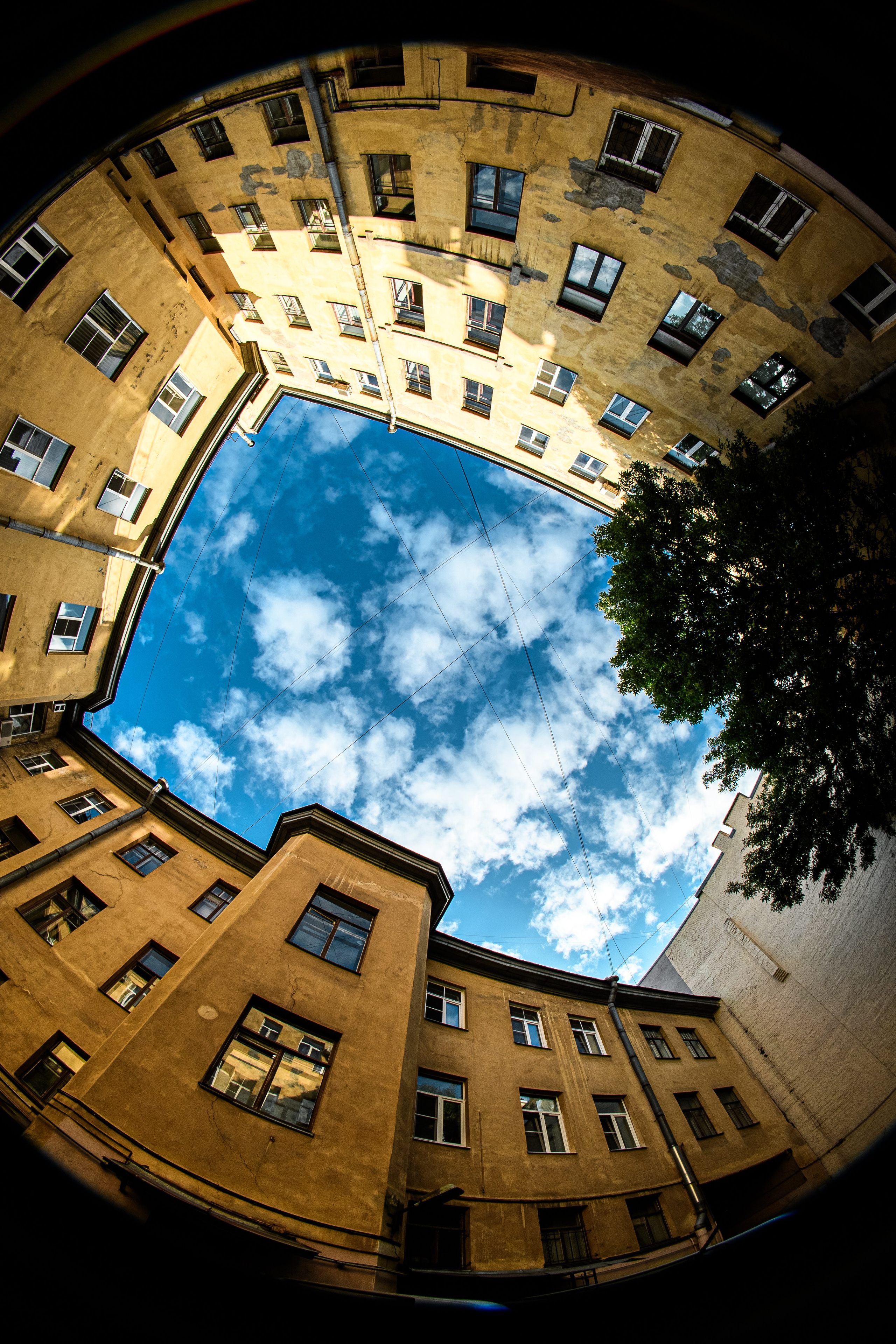 ДВОРЫ СПБ — ВАСИЛЬЕВСКИЙ