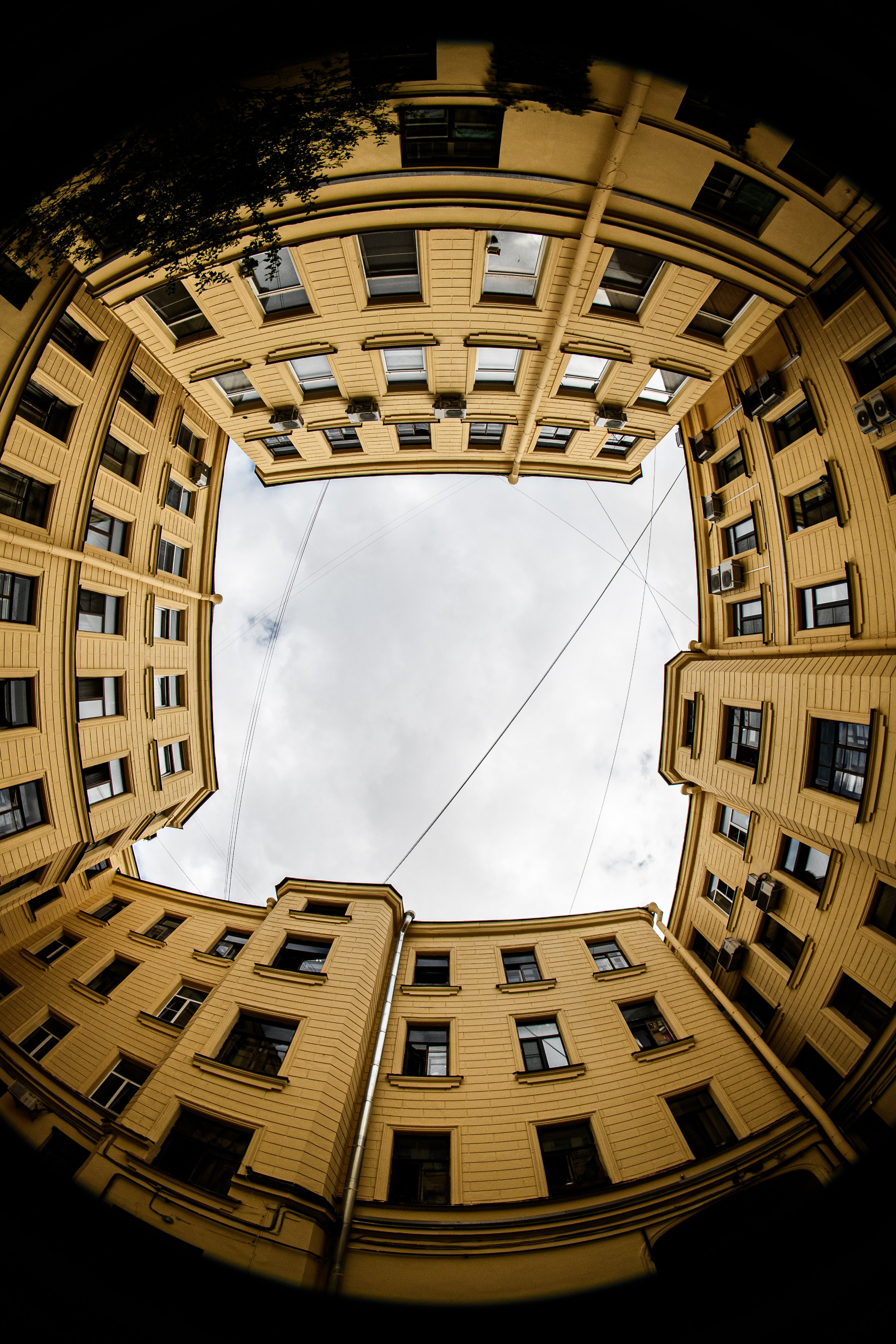 ДВОРЫ СПБ — ПЕТРОГРАД