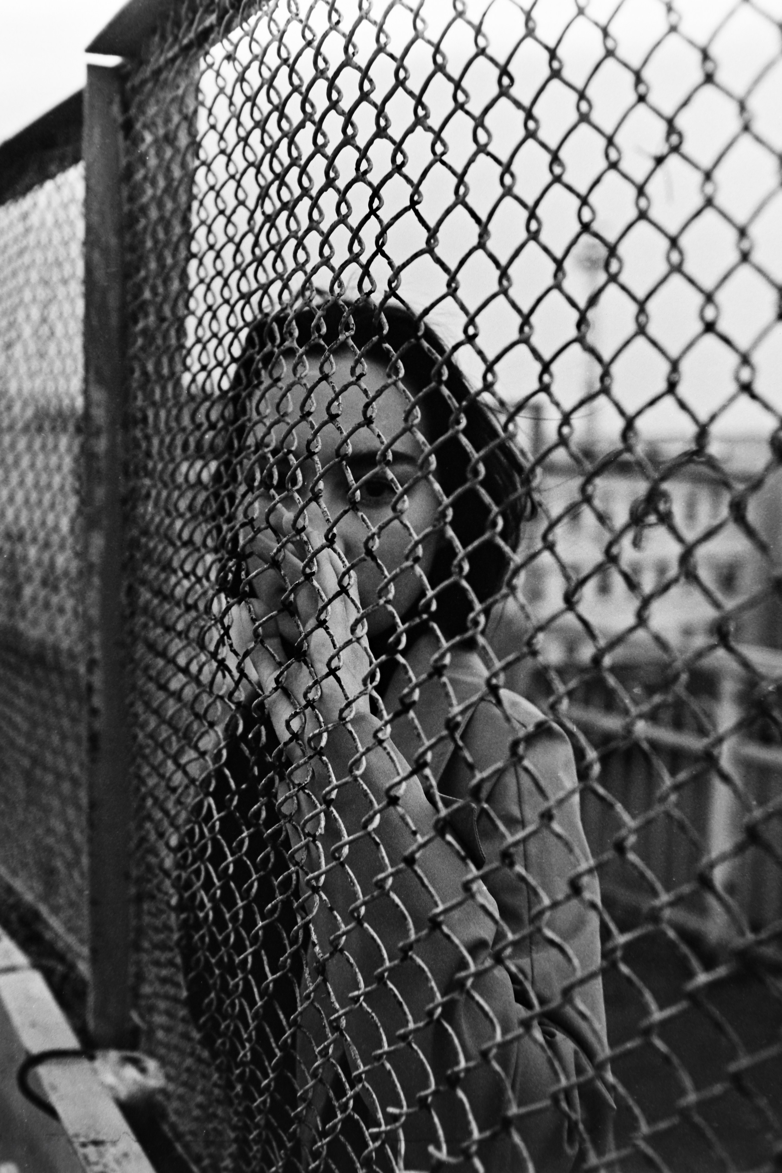 Лилия в минимализме