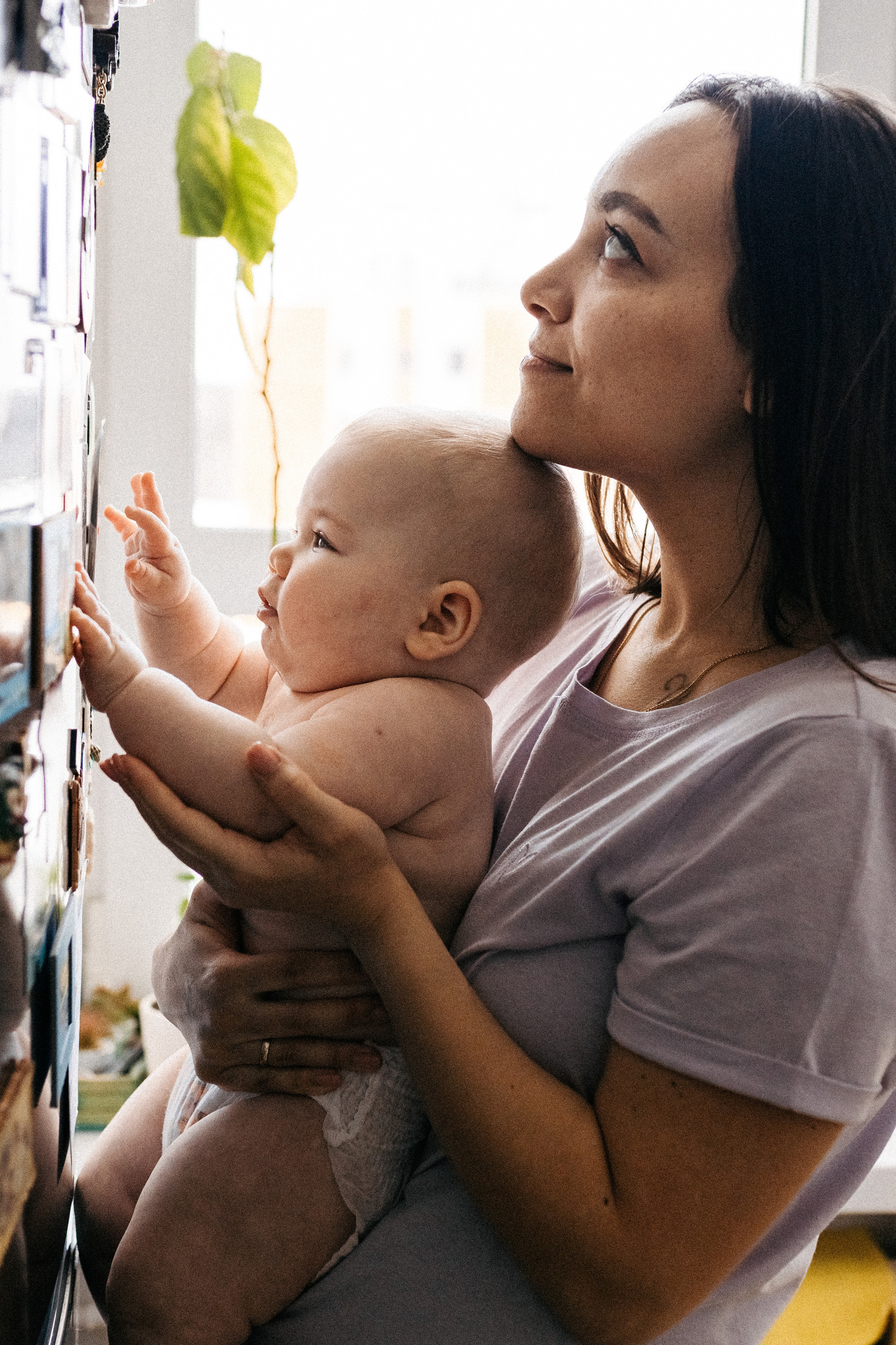 Мир, в котором мы живём