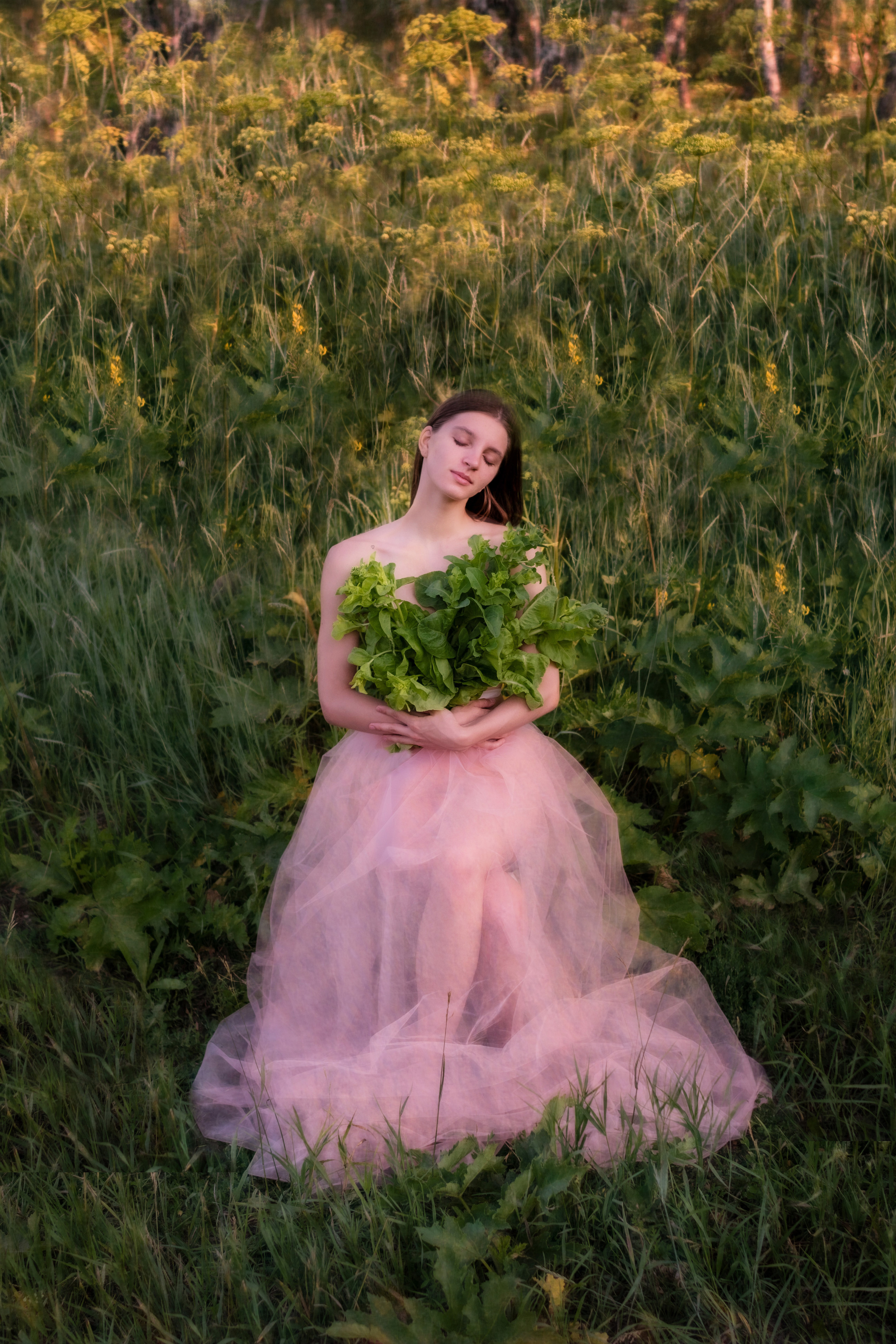 Розовые сны