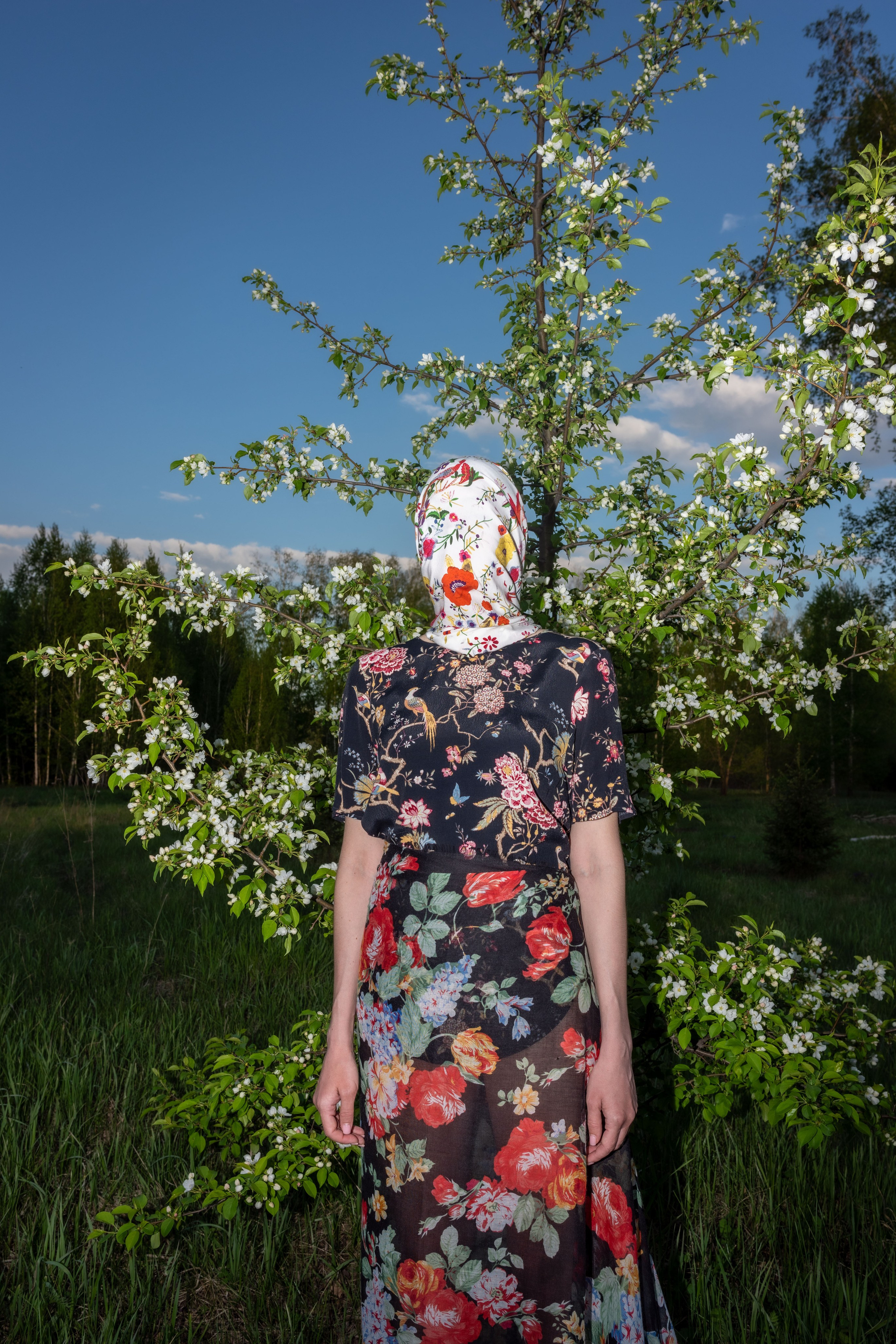 Арт на двадцати сотках