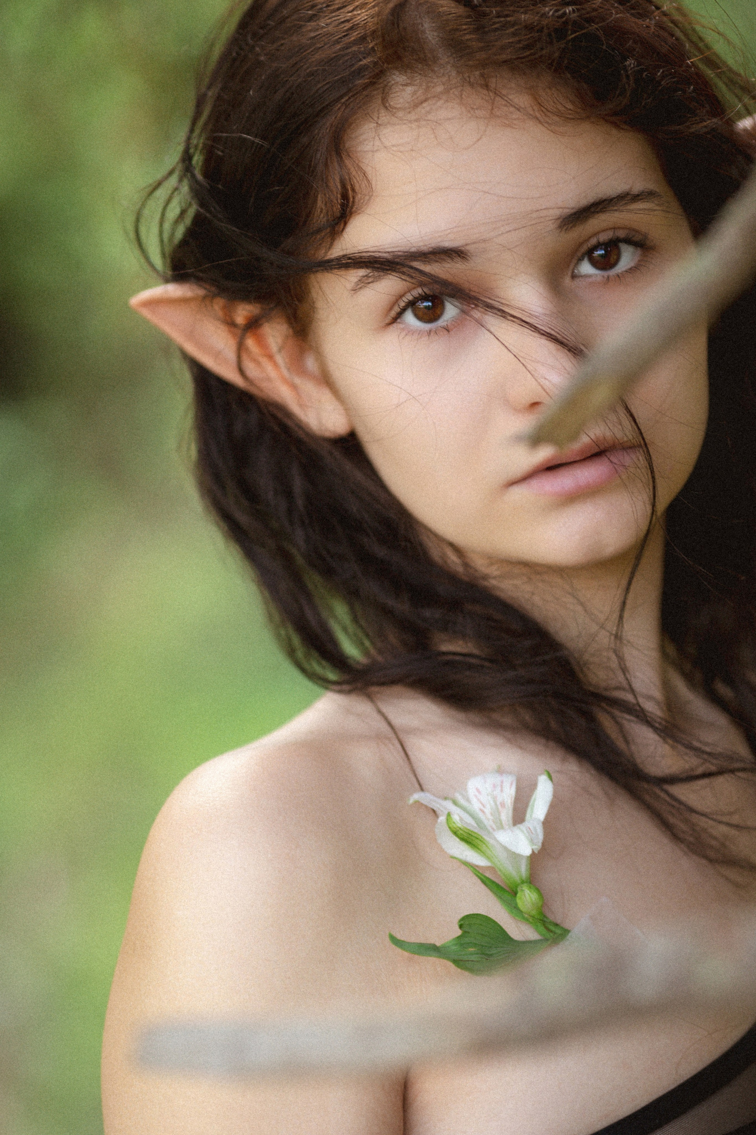 В Сахалинском лесу