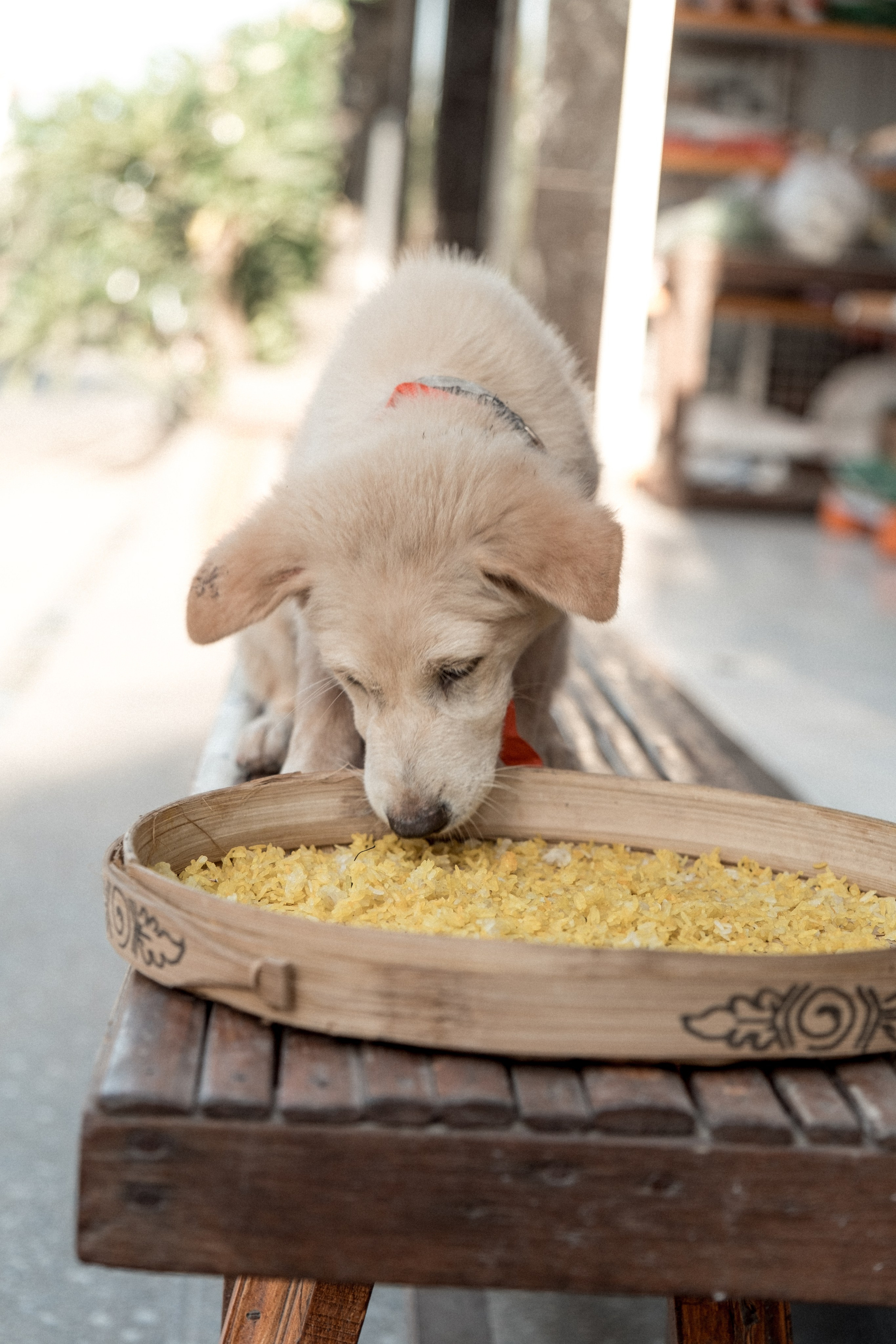 Моменты Острова | Люди. Фотограф Москва