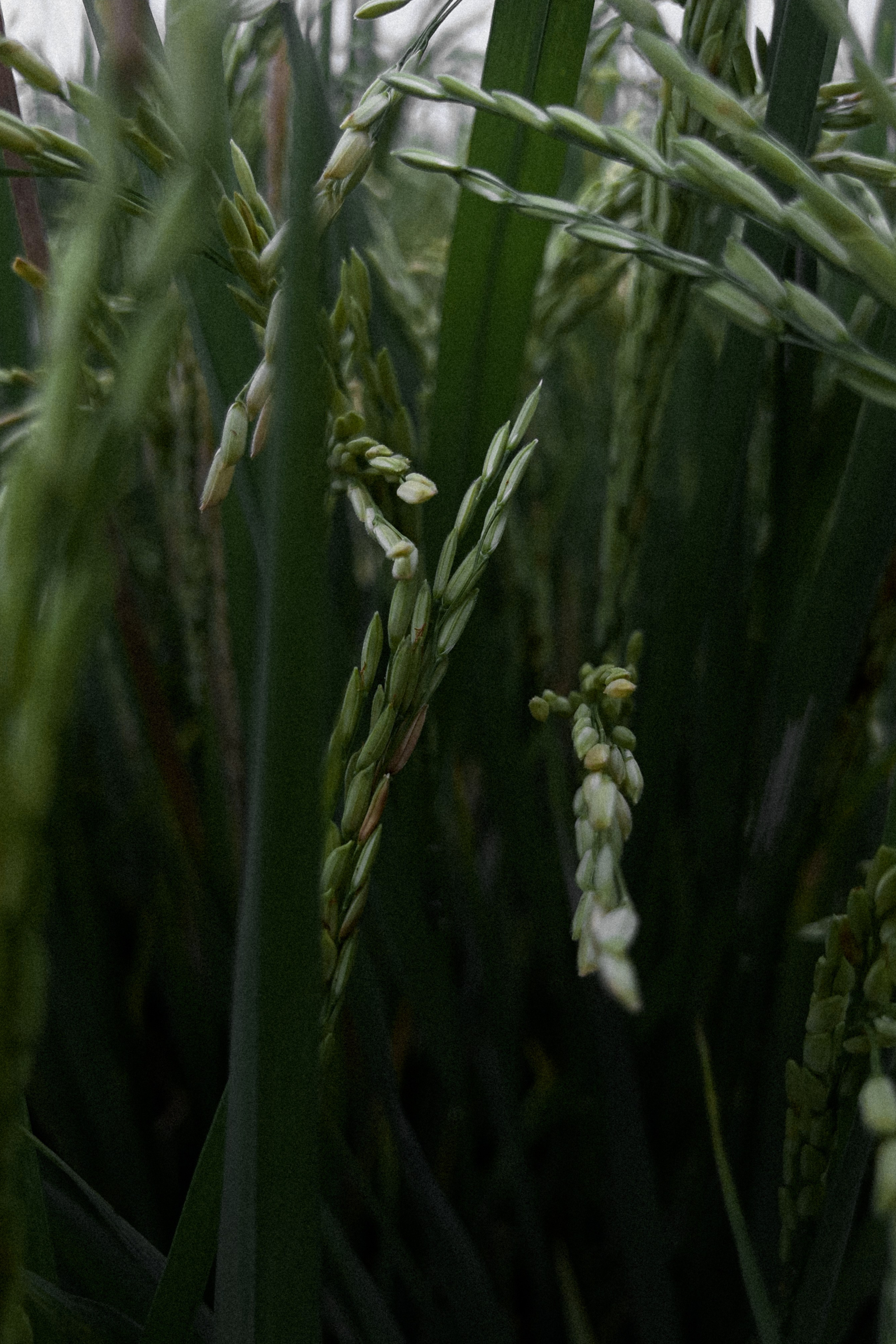 Моменты Острова | Люди. Фотограф Москва