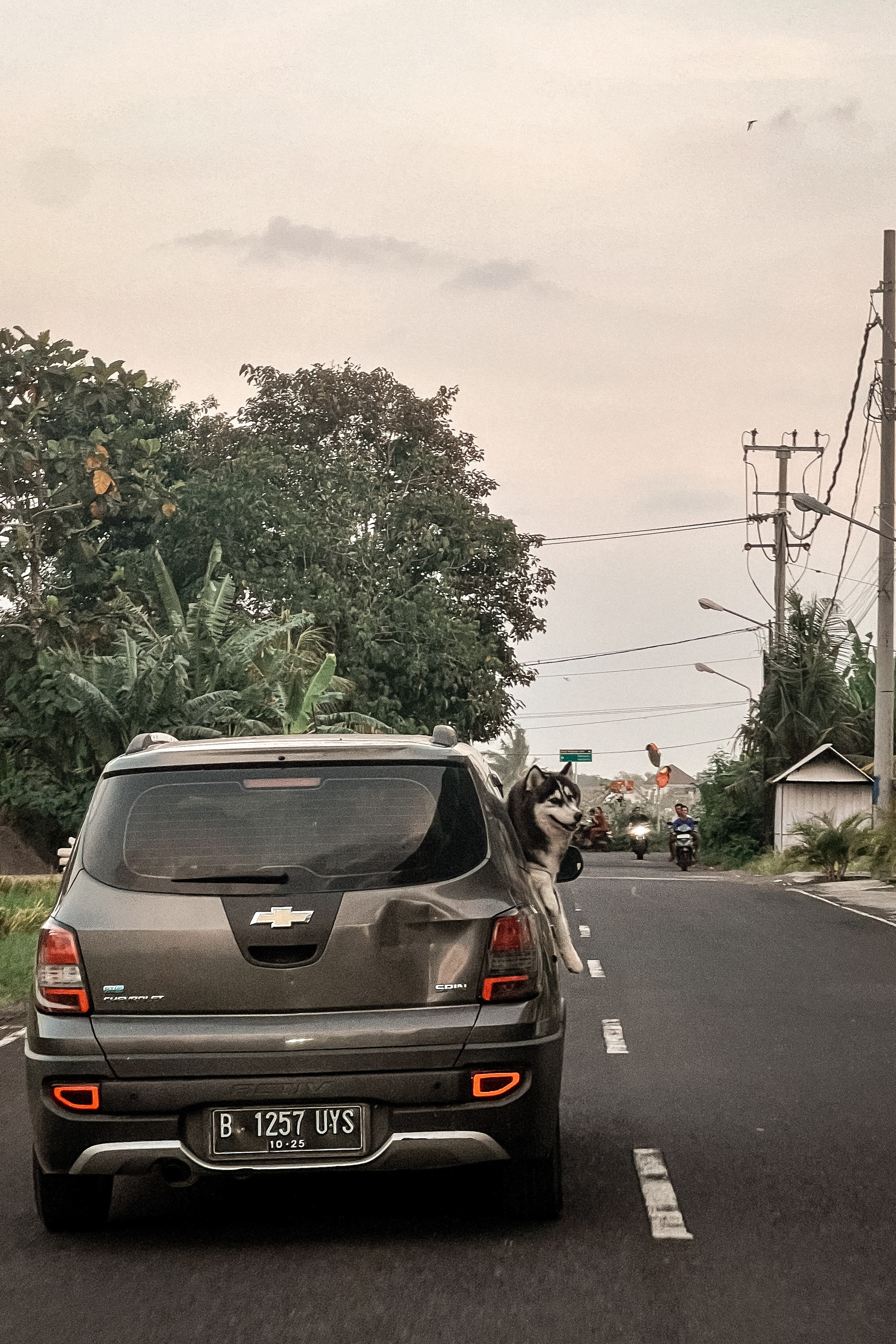 Моменты Острова | Люди. Фотограф Москва