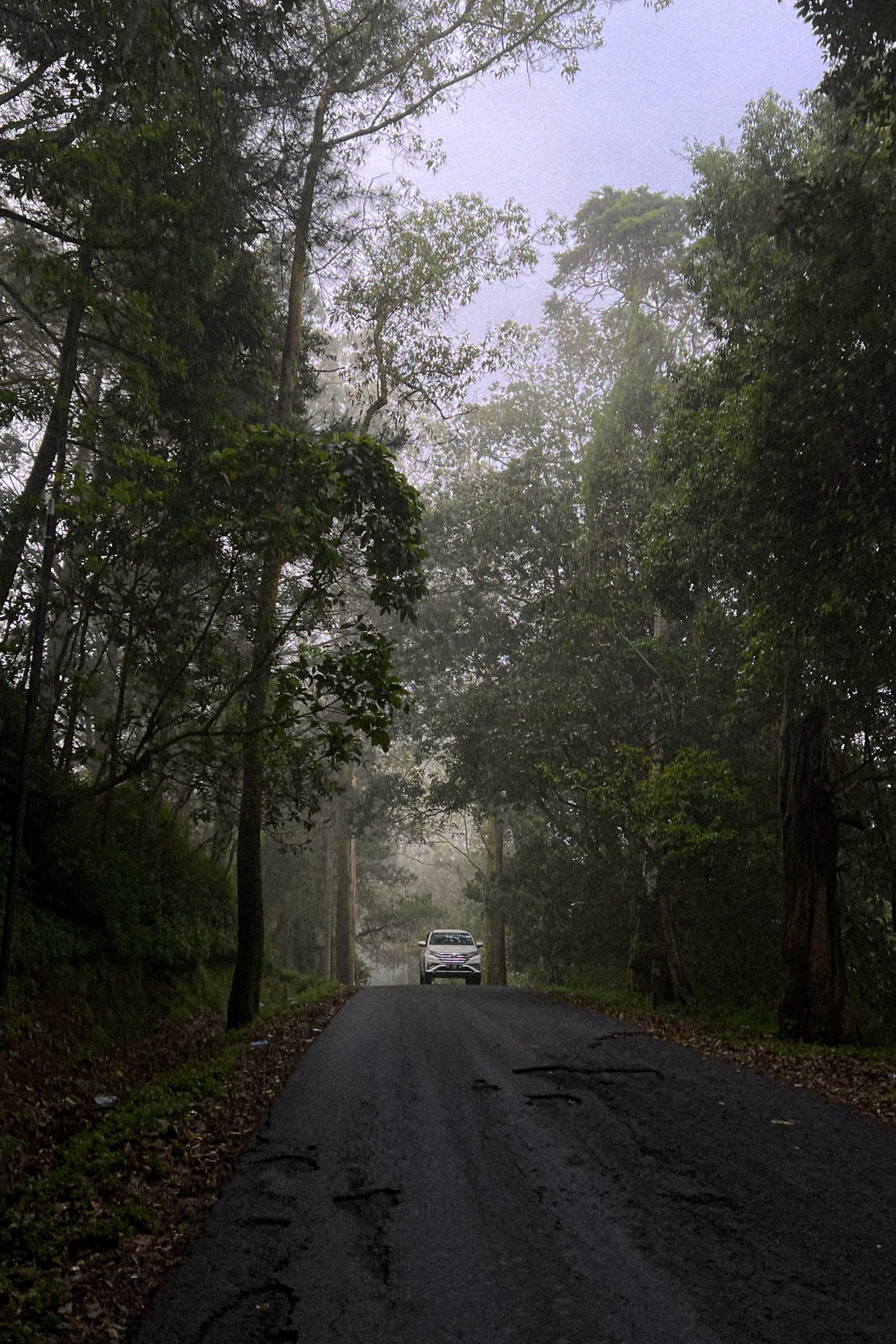 Моменты Острова | Люди. Фотограф Москва