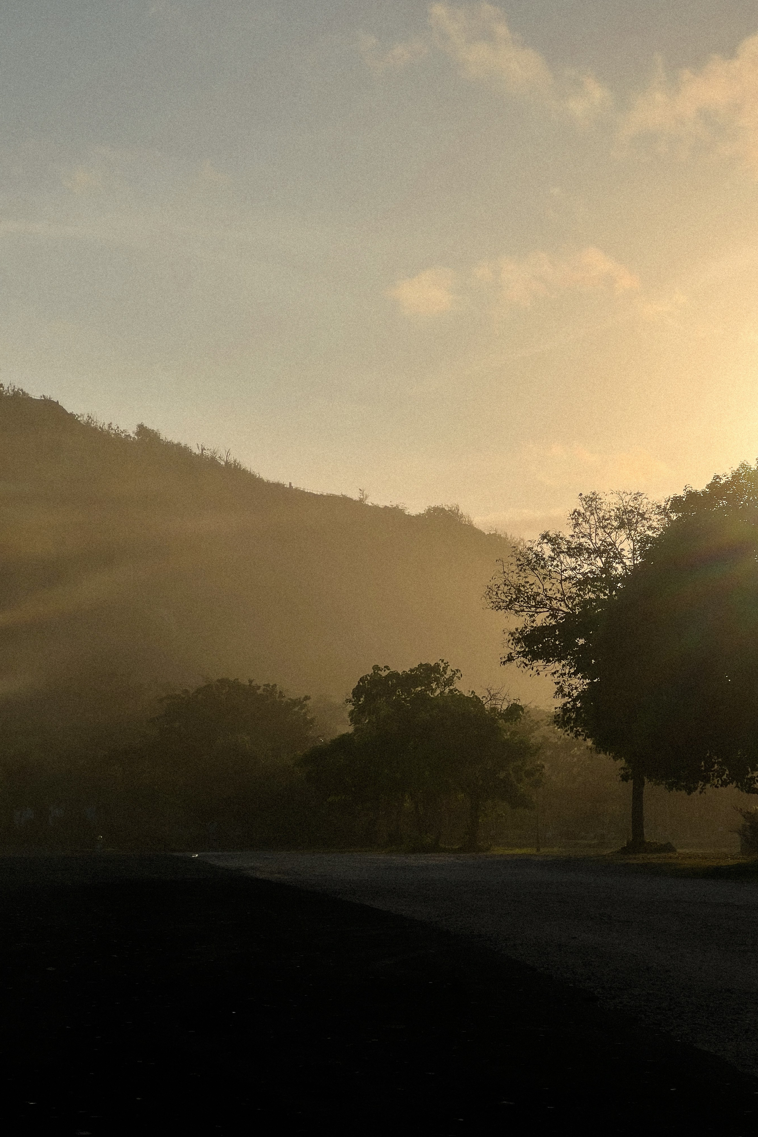 Моменты Острова | Люди. Фотограф Москва