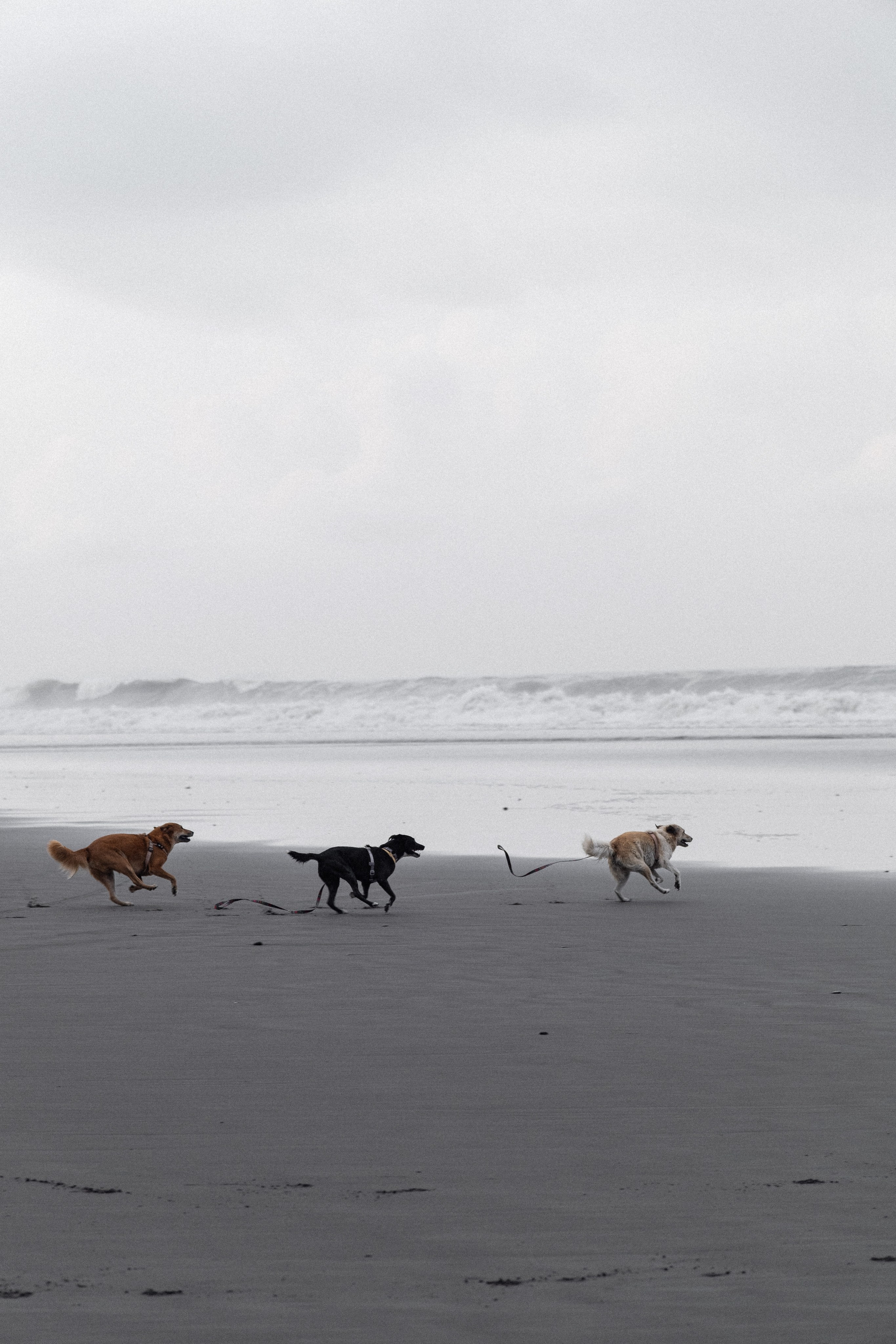 Моменты Острова | Люди. Фотограф Москва