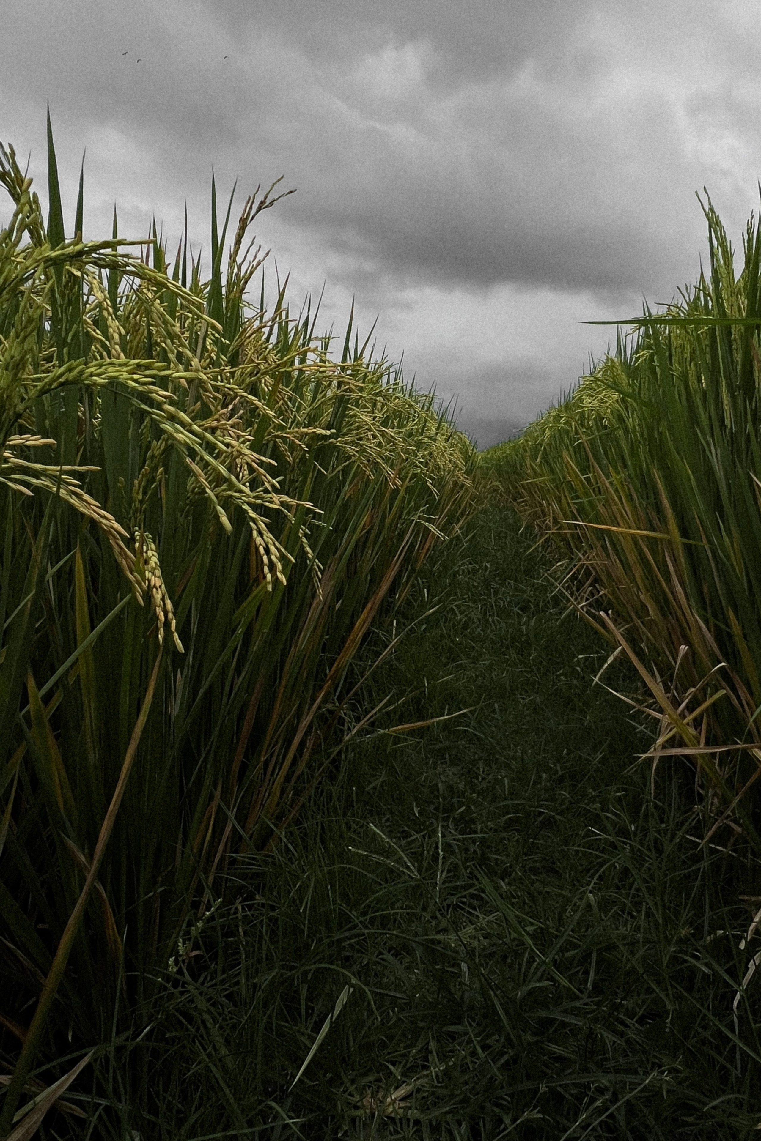 Моменты Острова | Люди. Фотограф Москва