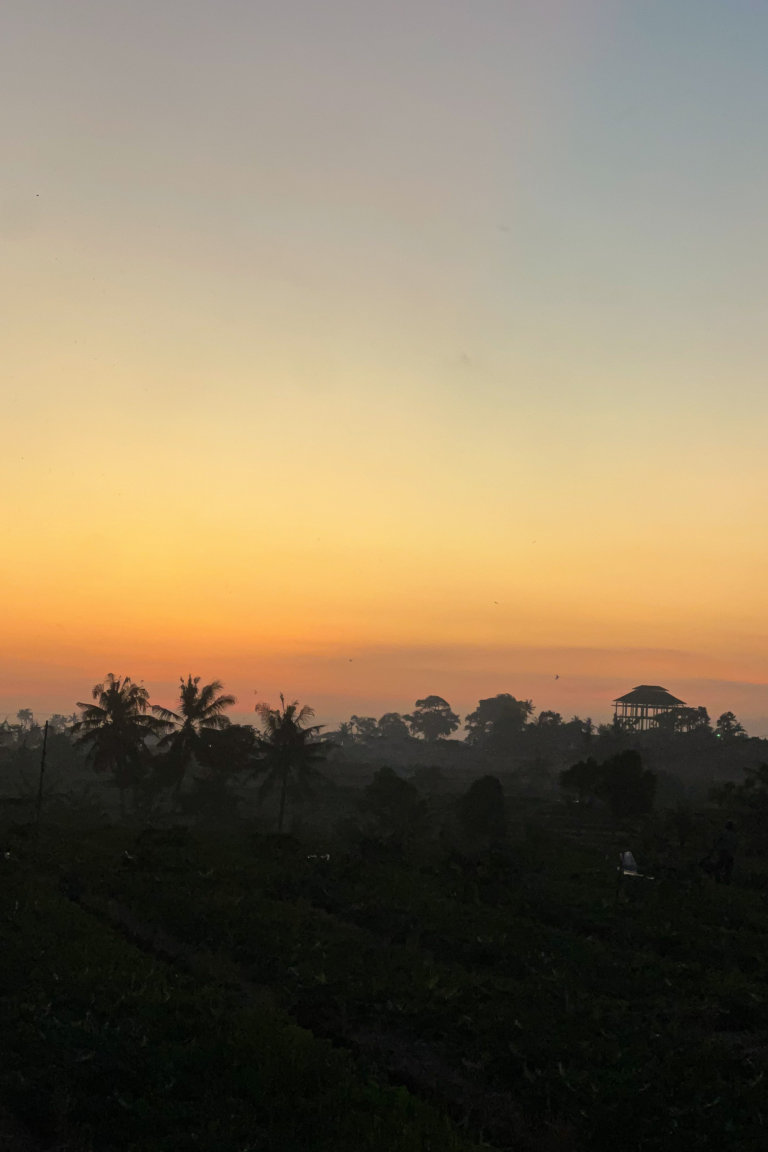 Моменты Острова | Люди. Фотограф Москва