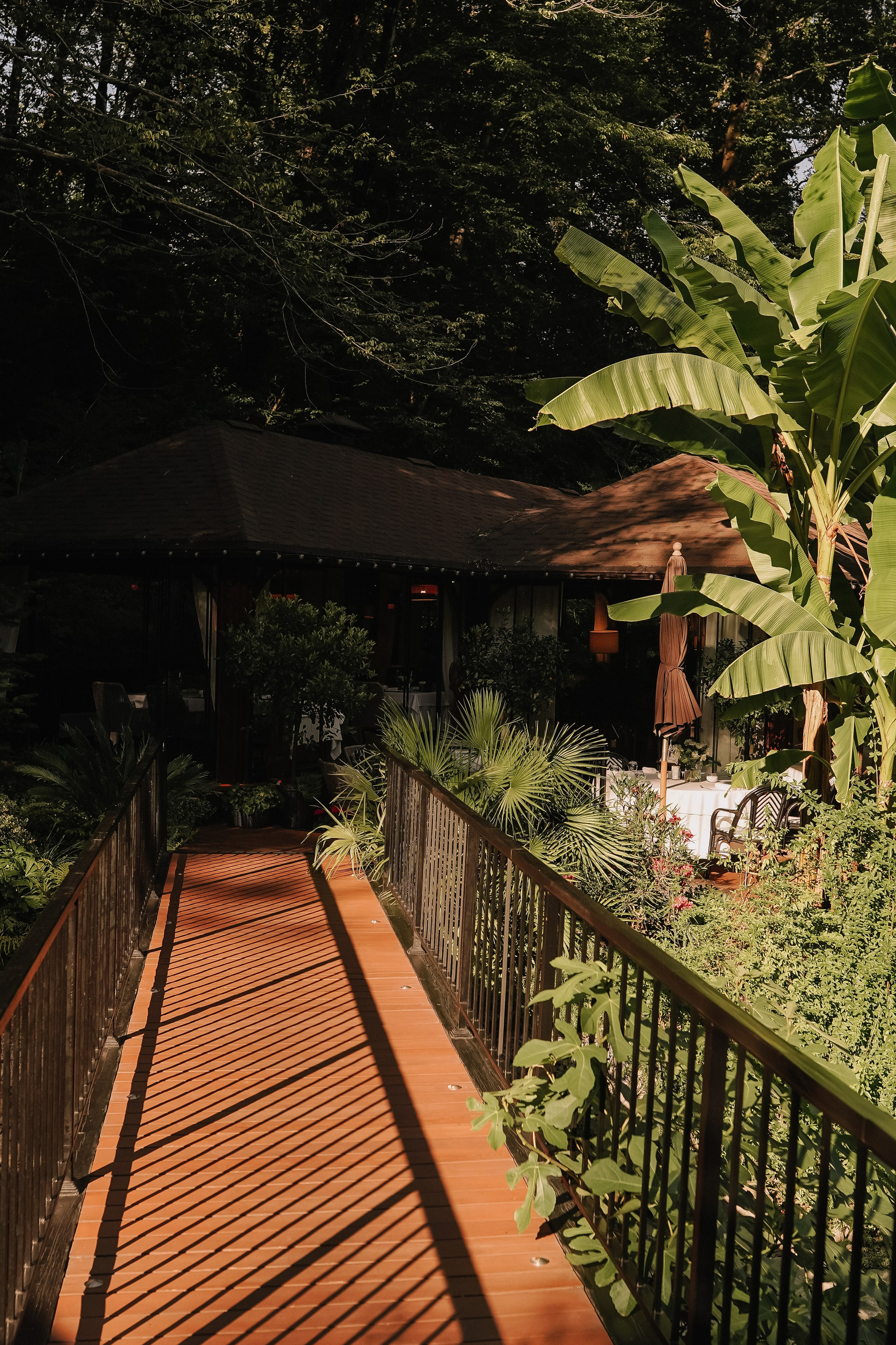 Готовые маршруты для фотосессии. Милана Довгаль - семейный фотограф и видеограф  в Адлере и Сочи