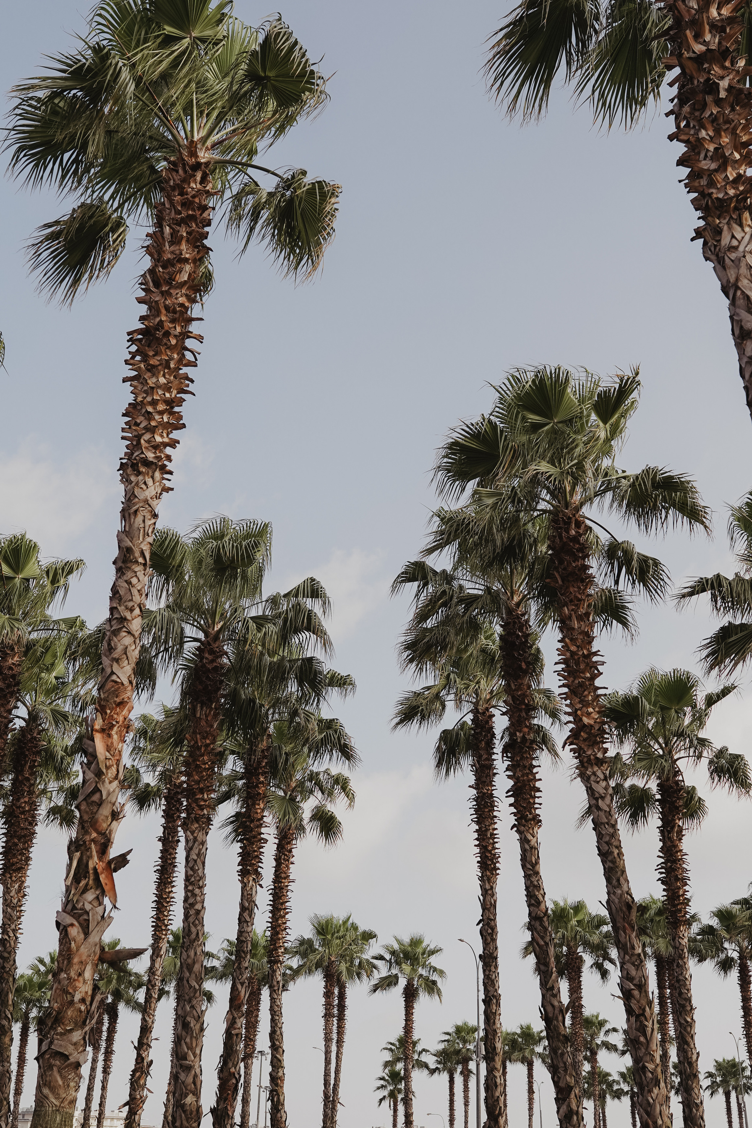 Матвею 1 год. Милана Довгаль - семейный фотограф и видеограф  в Адлере и Сочи