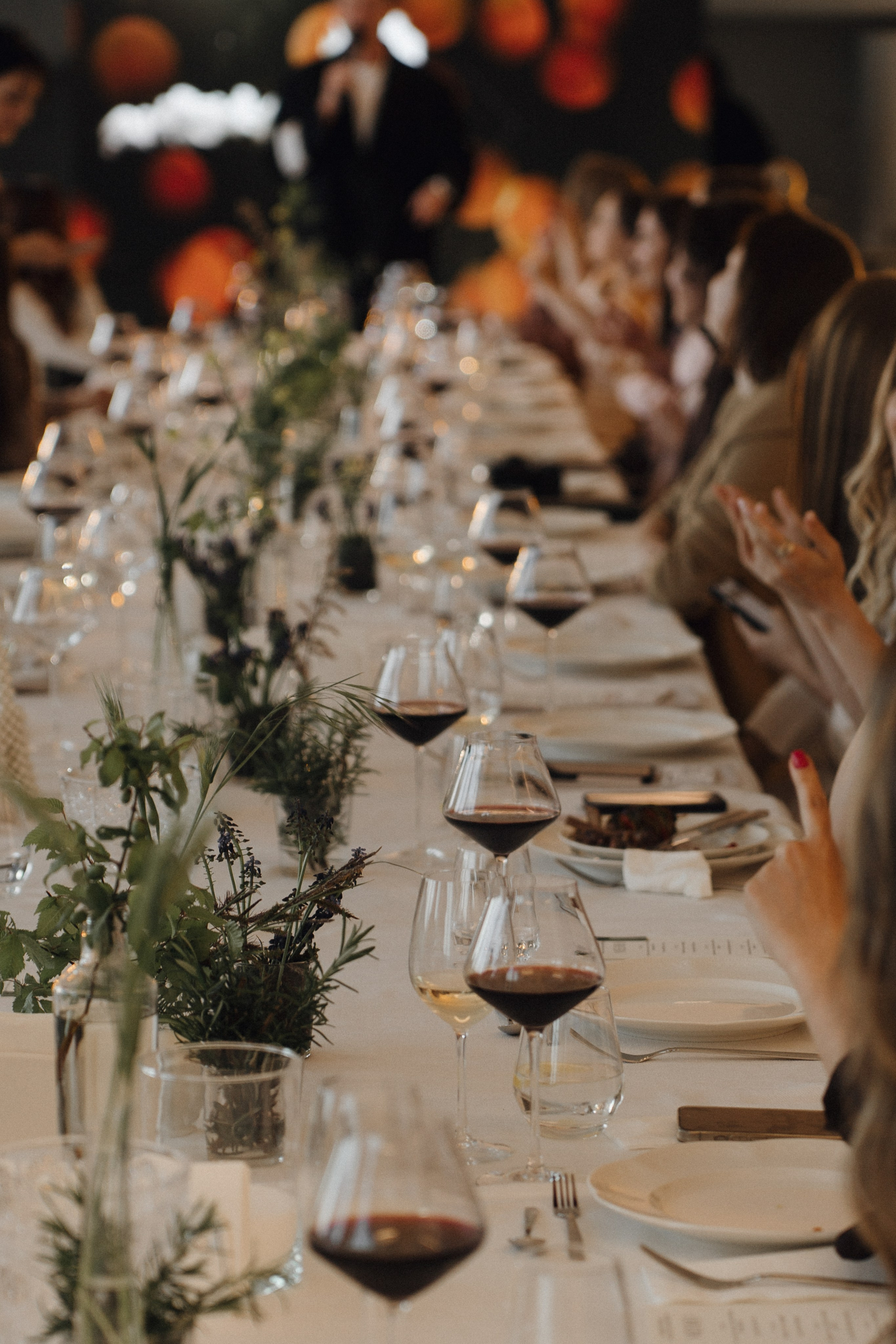 Скалистый берег 2024