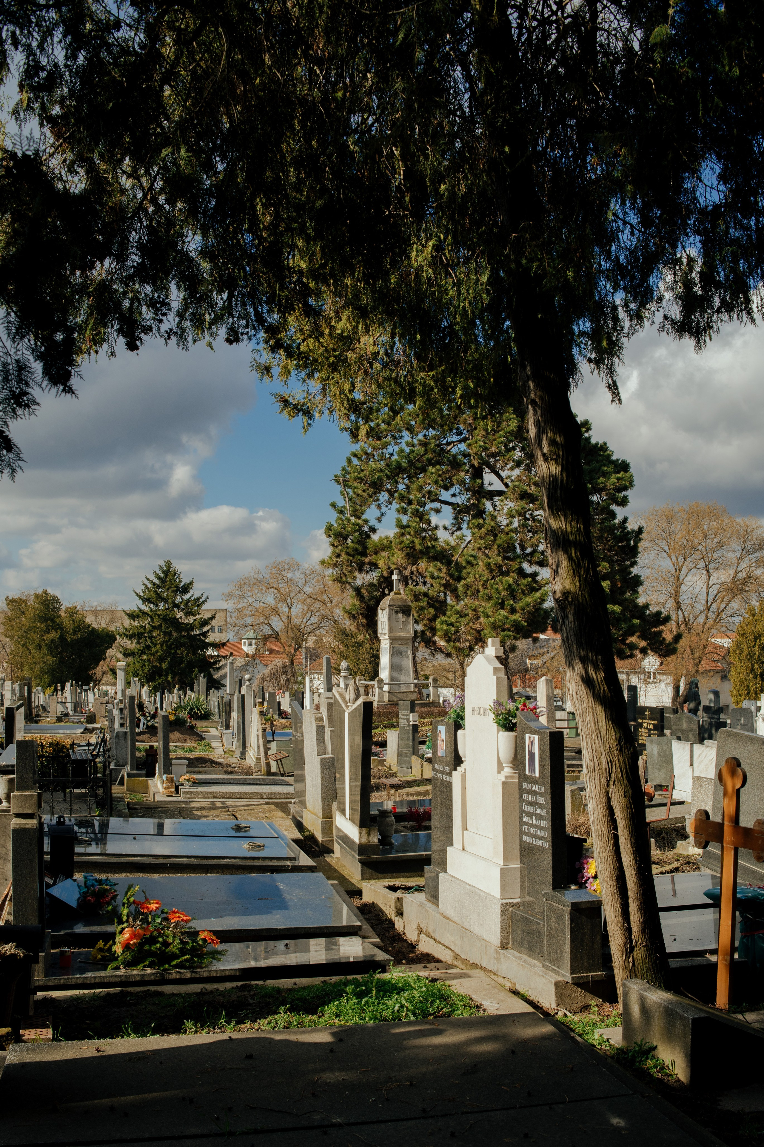 Ted Bundy Quotes. Art-photographer Ira Wind