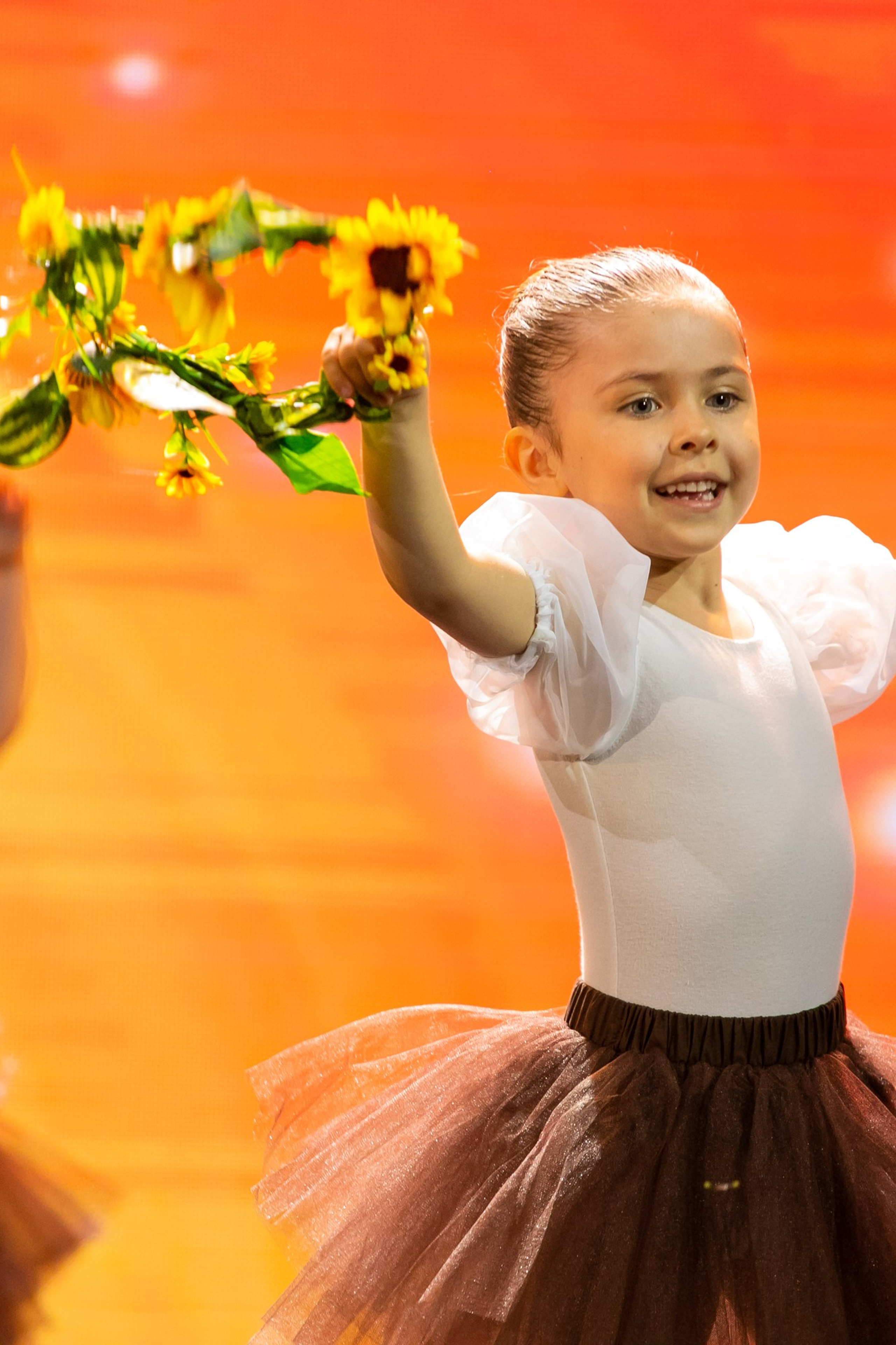 Концерты, сцена