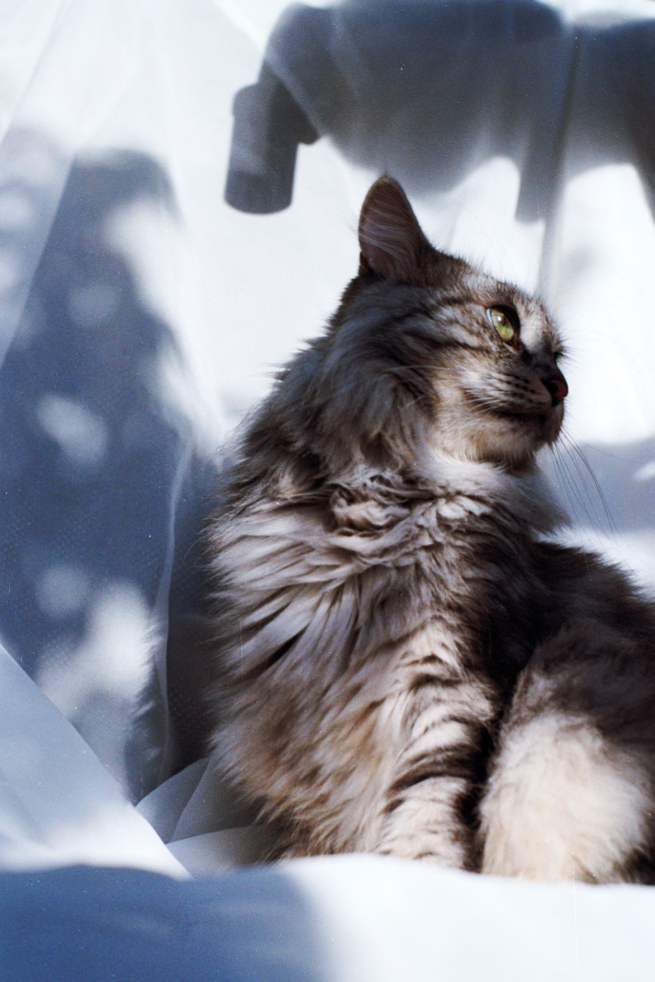 Comments. Стилист и плёночный фотограф Анастасия Шлокова в Санкт-Петербурге и Москве