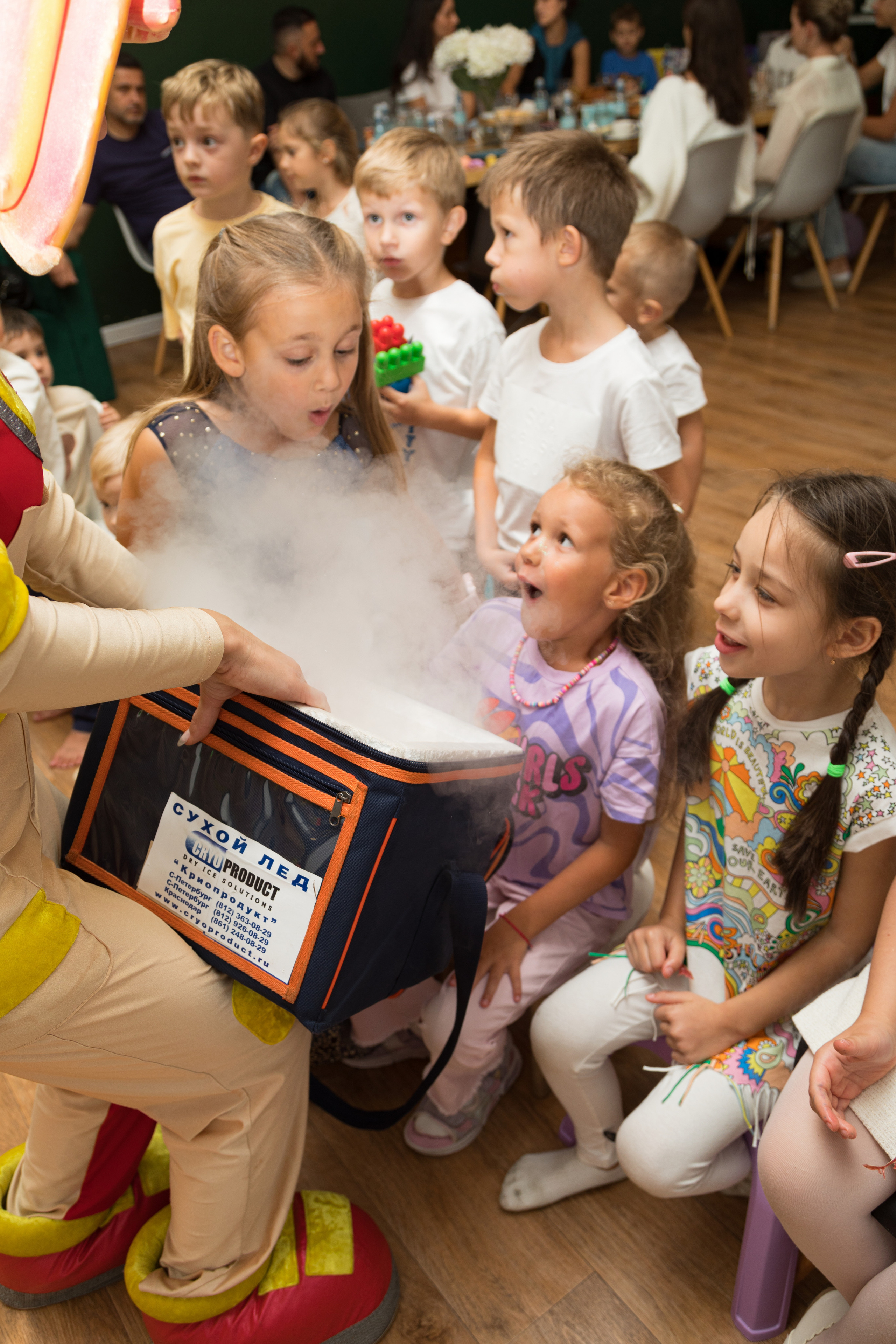 День рождения Оливии, 6 лет, студия детских праздников Лес Чудес