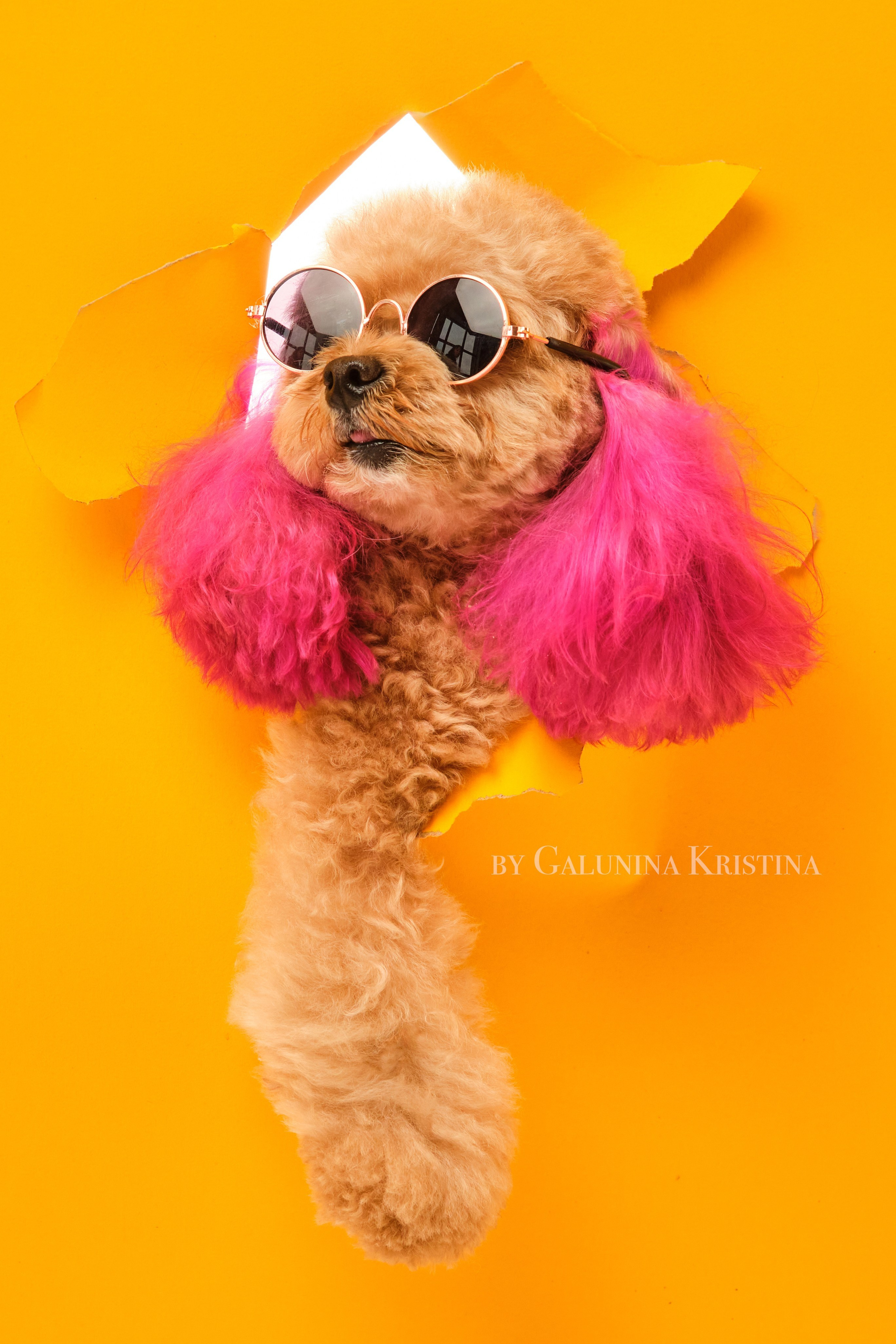 Истории. Фотограф в Москве — Галунина Кристина