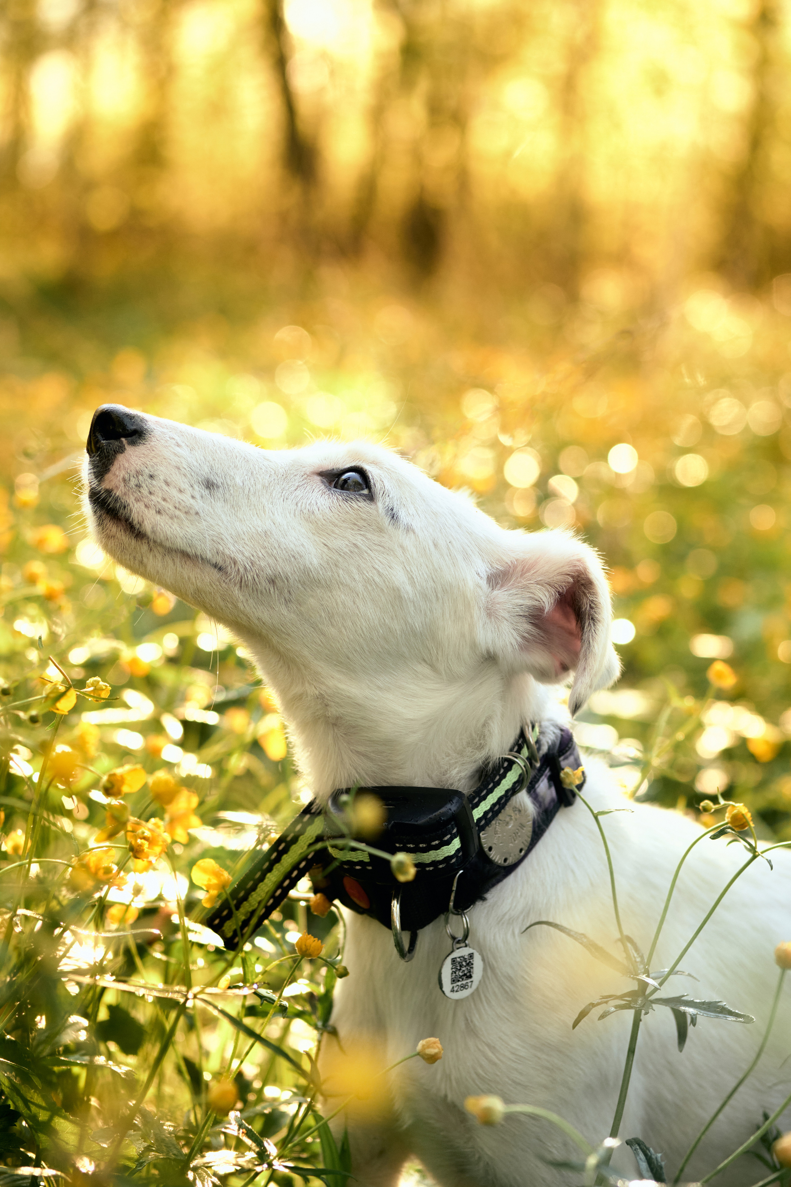 Истории. Фотограф в Москве — Галунина Кристина