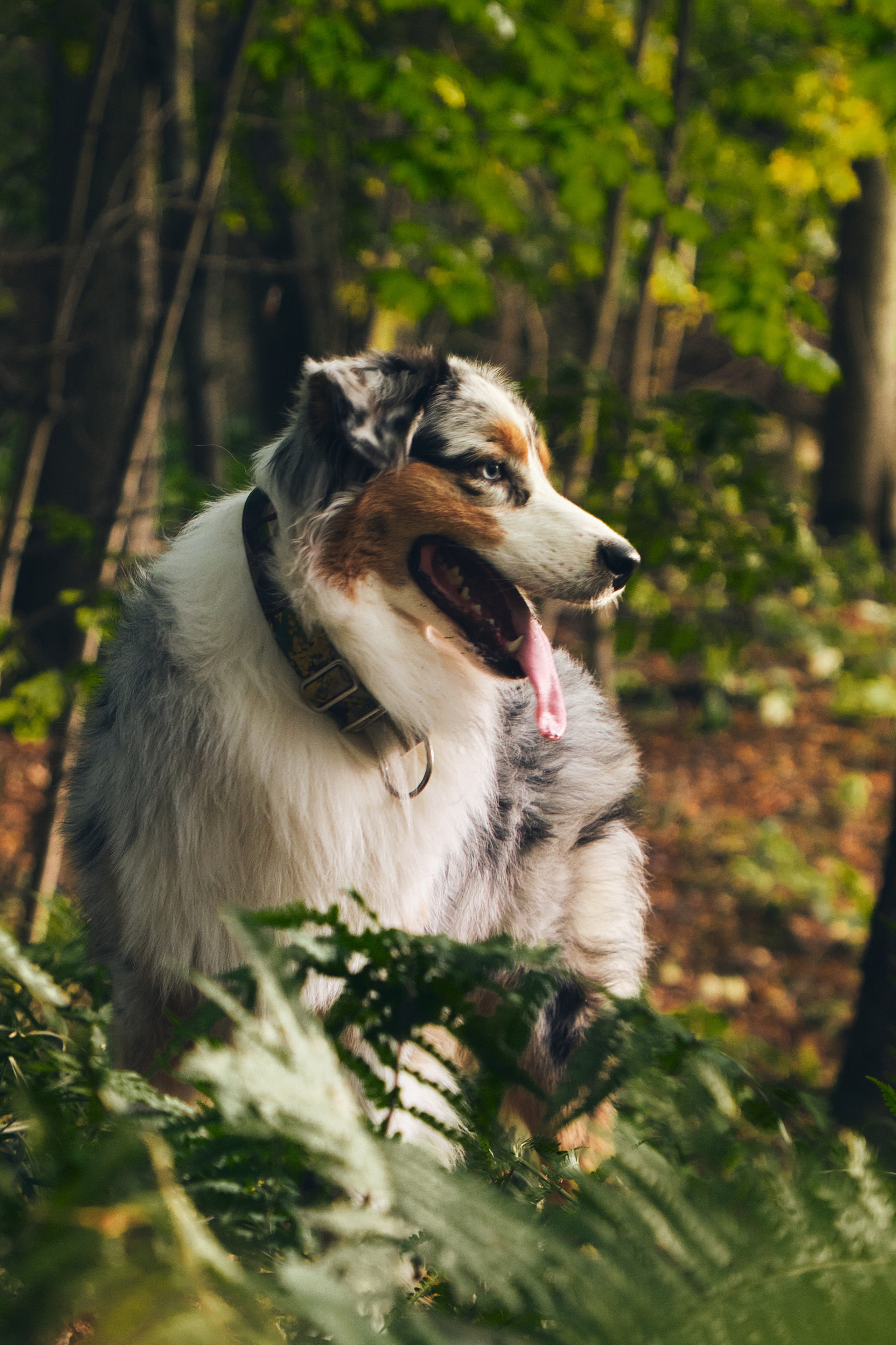 Истории. Фотограф в Москве — Галунина Кристина