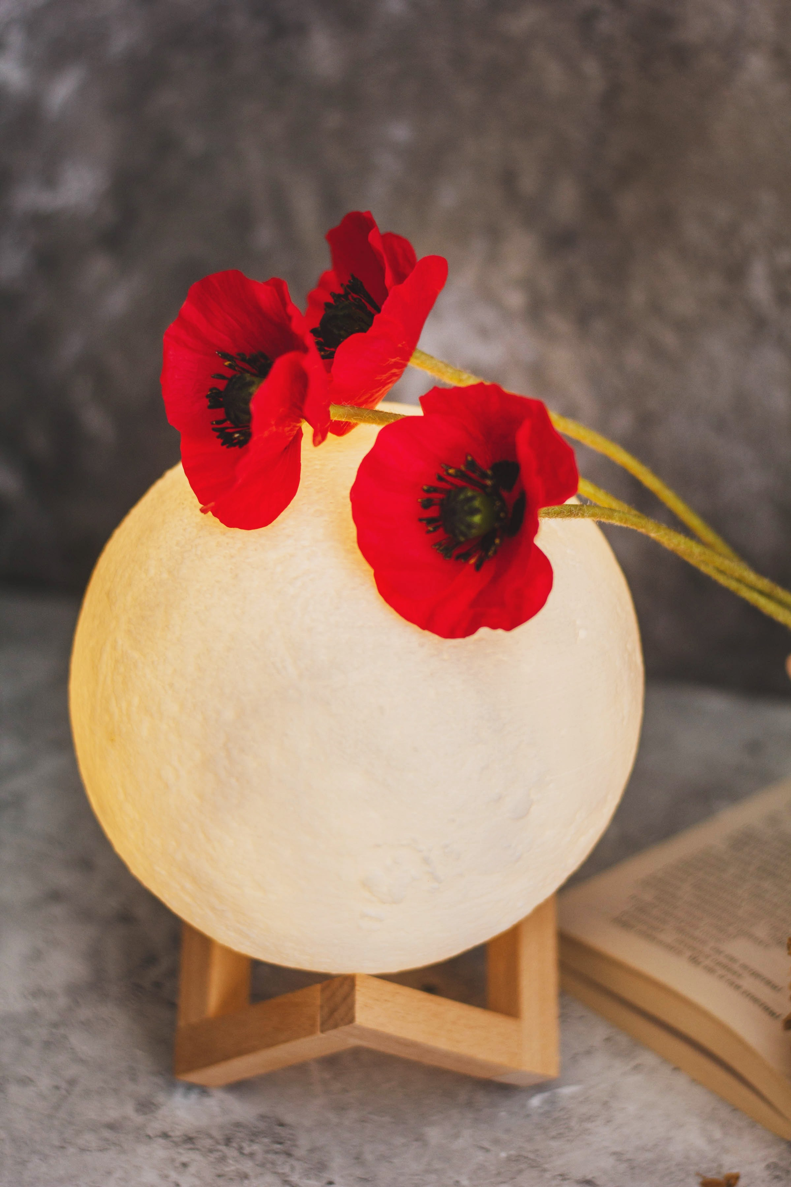 Отзывы. Детский и семейный фотограф в Москве