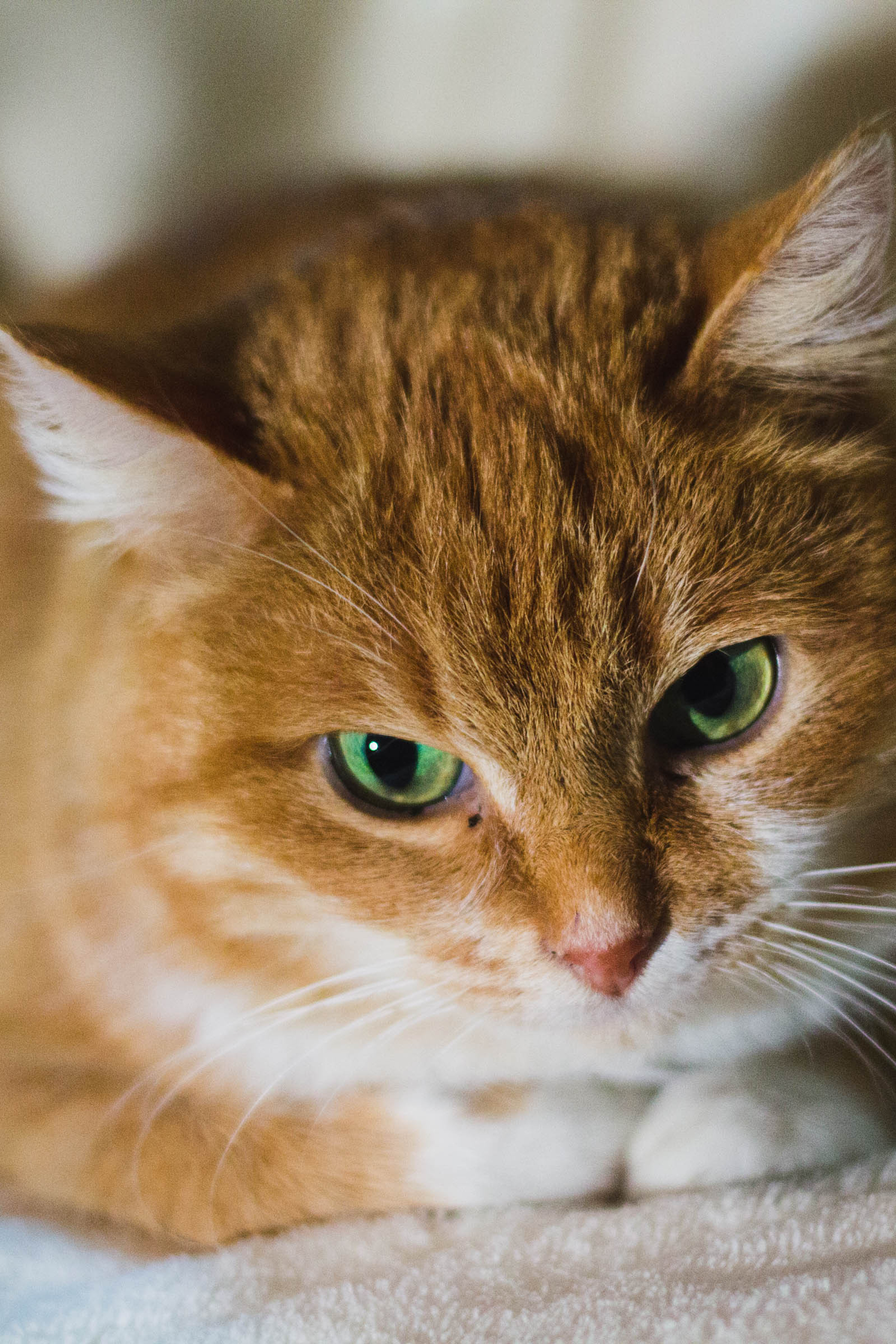 Отзывы. Детский и семейный фотограф в Москве