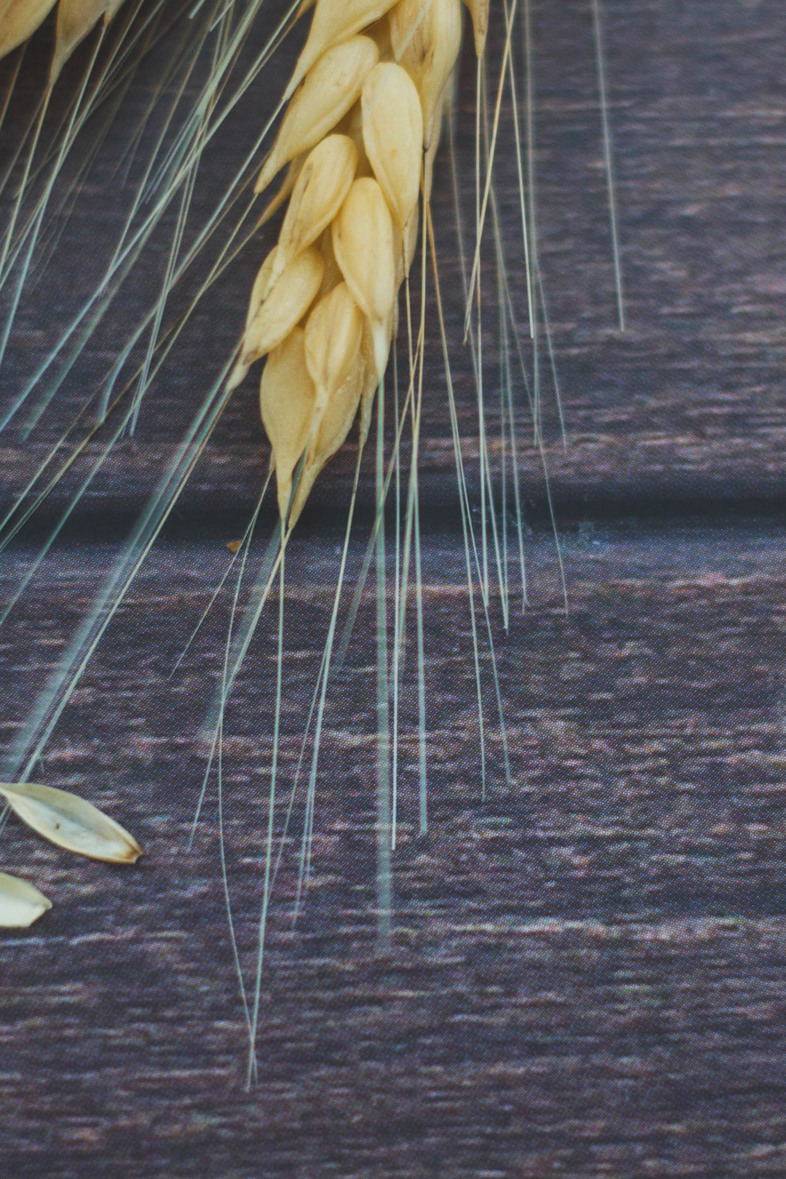 Отзывы. Детский и семейный фотограф в Москве