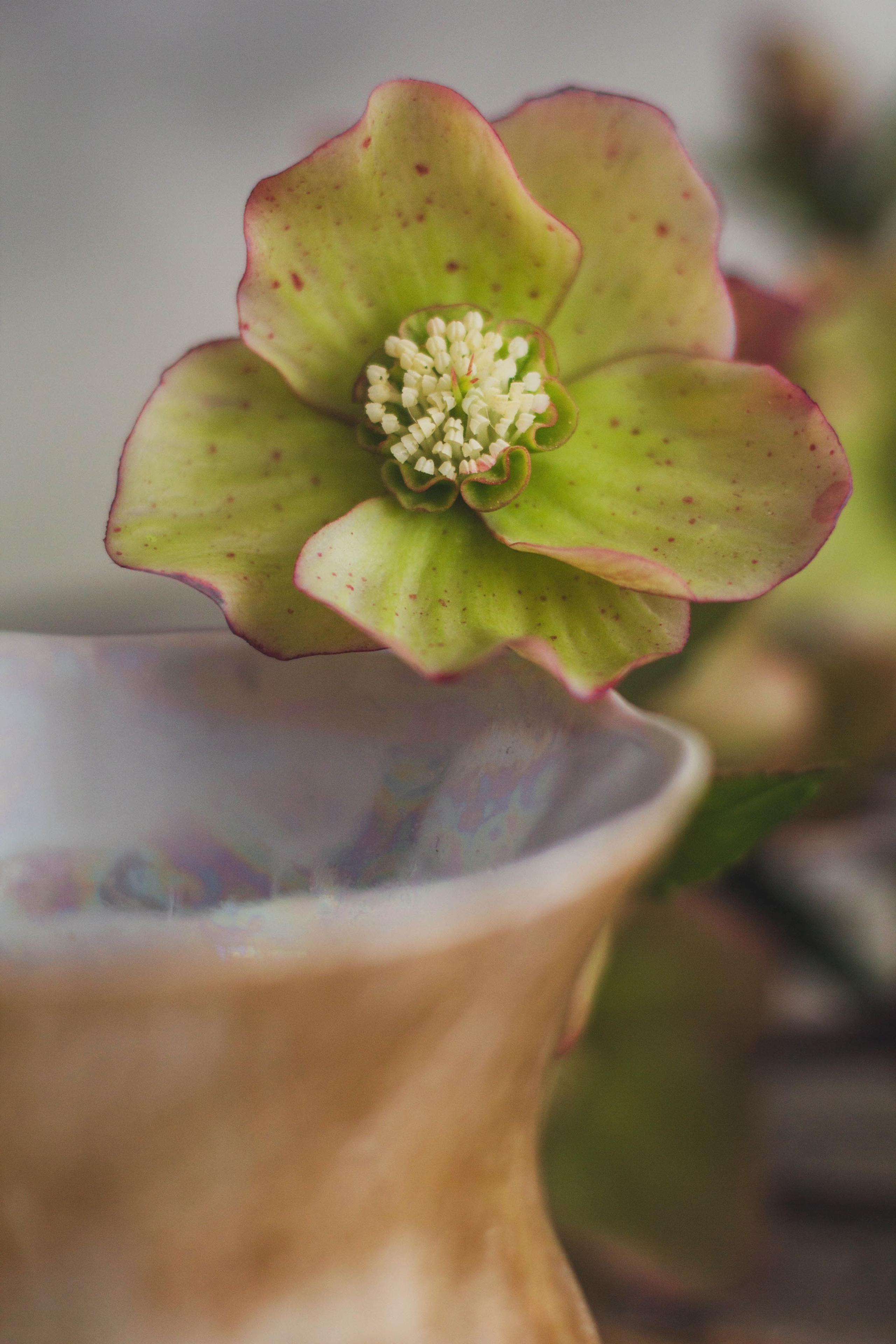 Отзывы. Детский и семейный фотограф в Москве