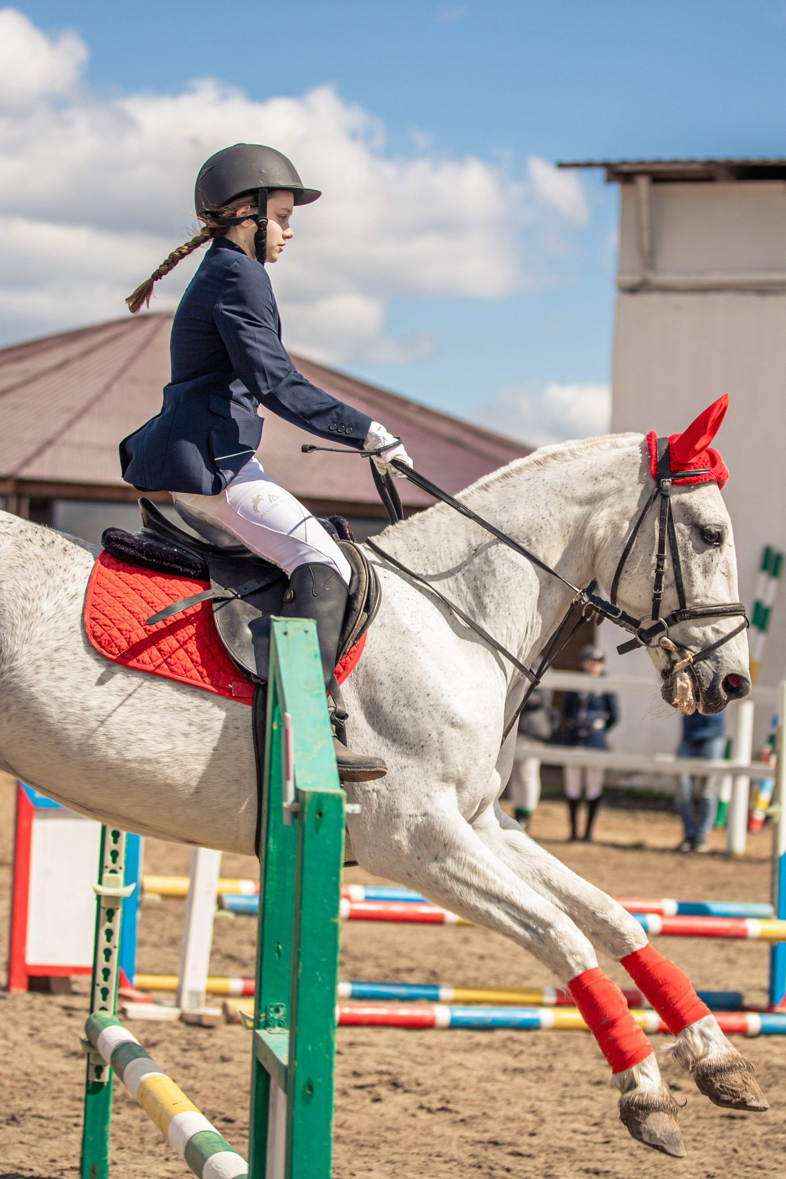 Отзывы. Фотосессии с лошадьми в Москве и МО