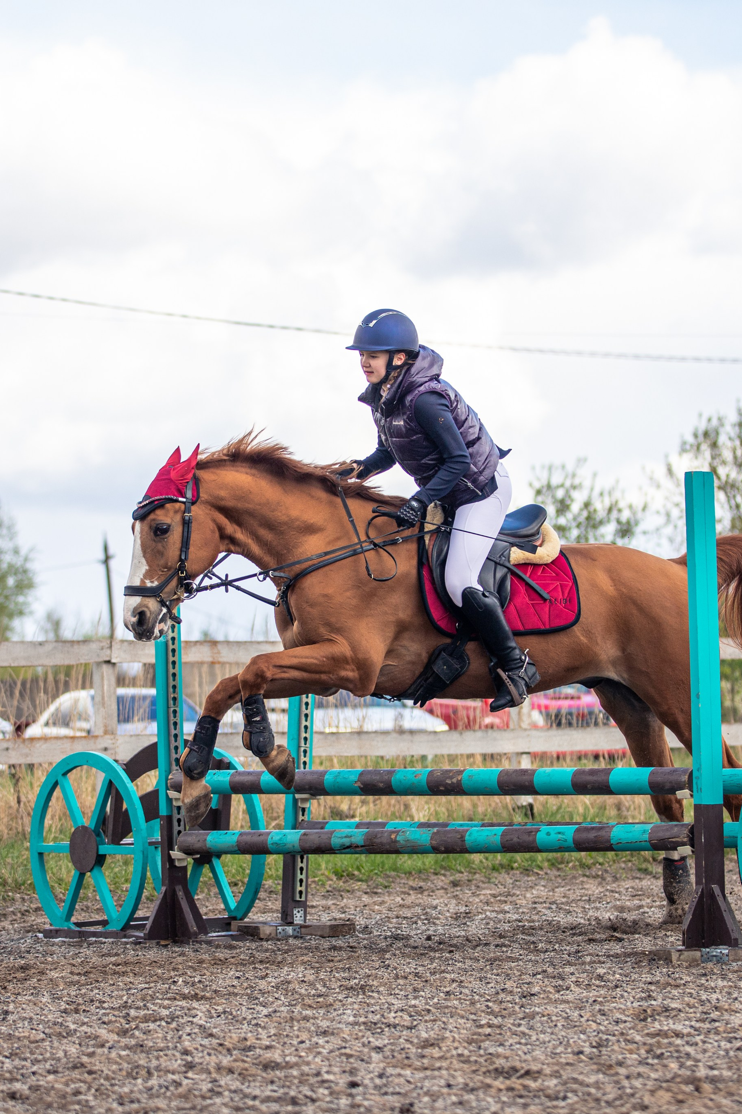 Отзывы. Фотосессии с лошадьми в Москве и МО
