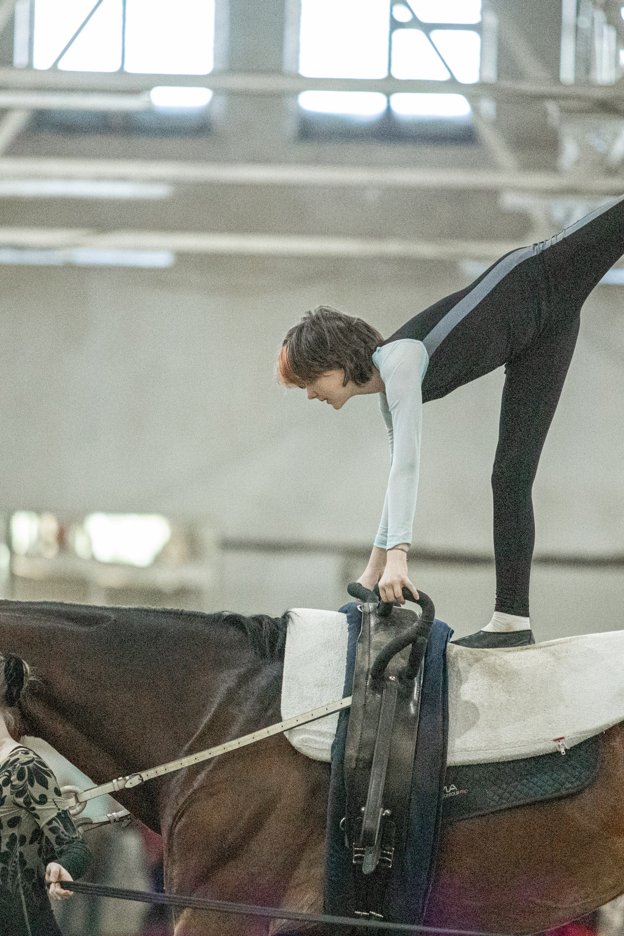 Отзывы. Фотосессии с лошадьми в Москве и МО