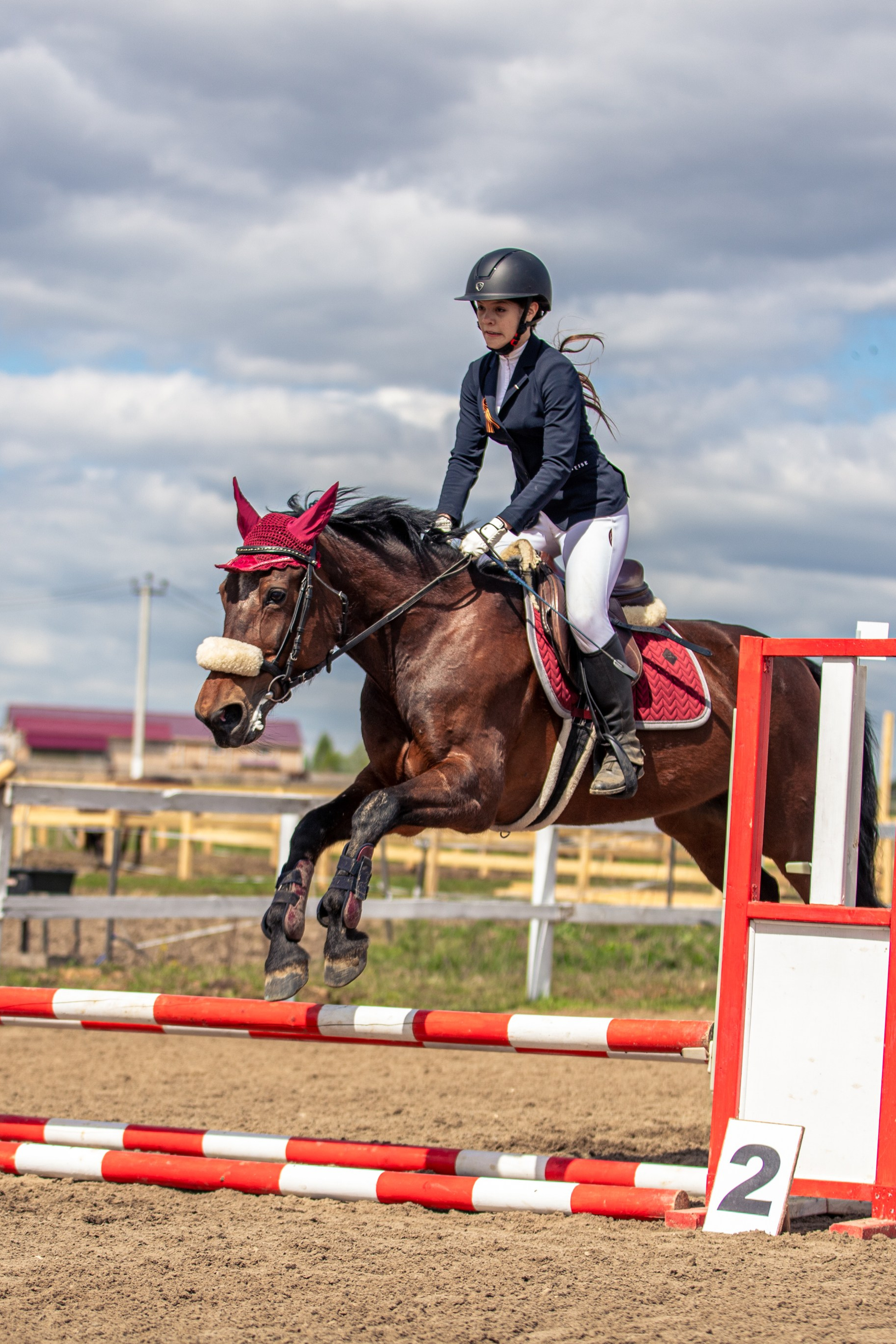 Отзывы. Фотосессии с лошадьми в Москве и МО