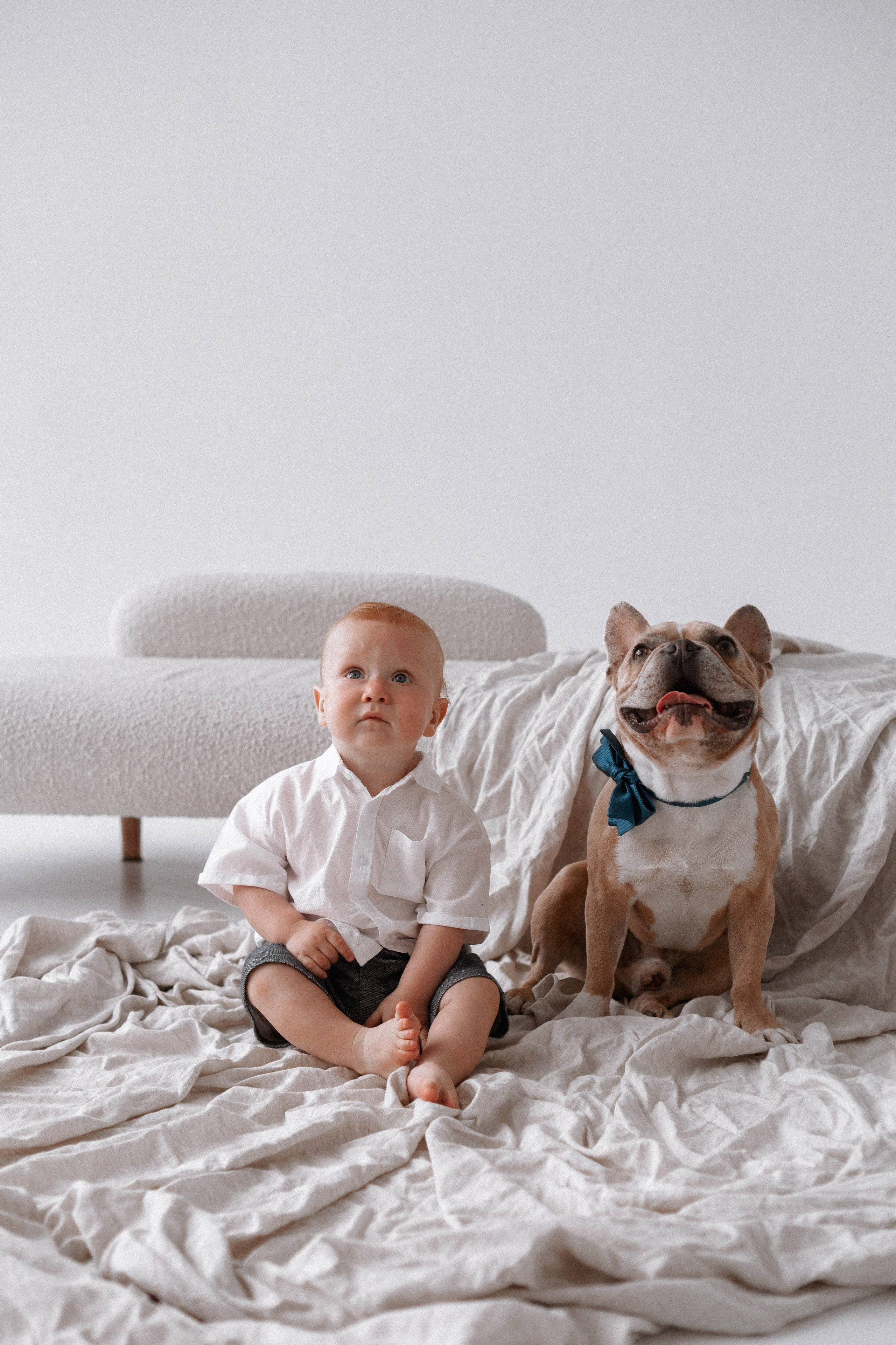 Миша & Остин