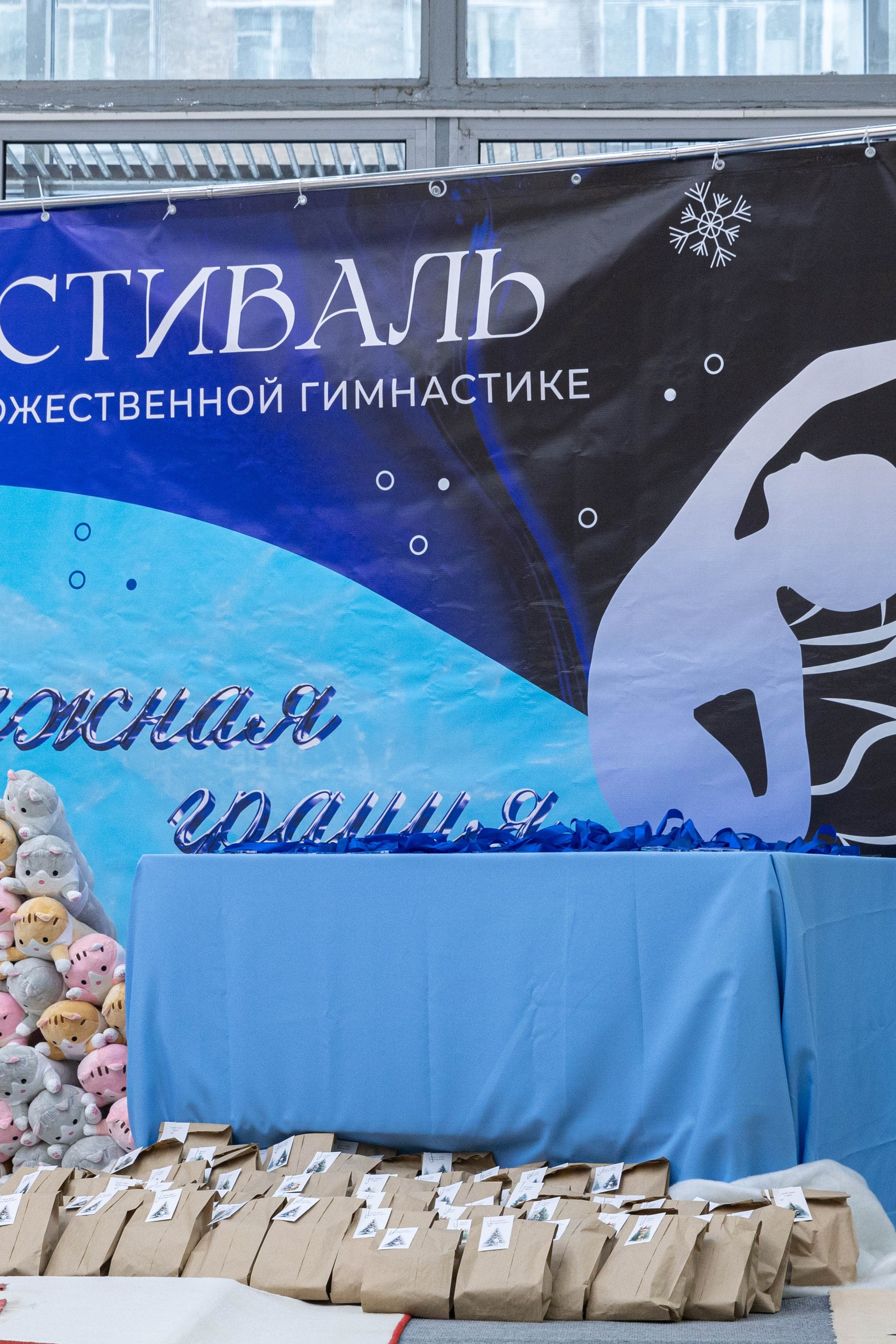 Художественная гимнастика