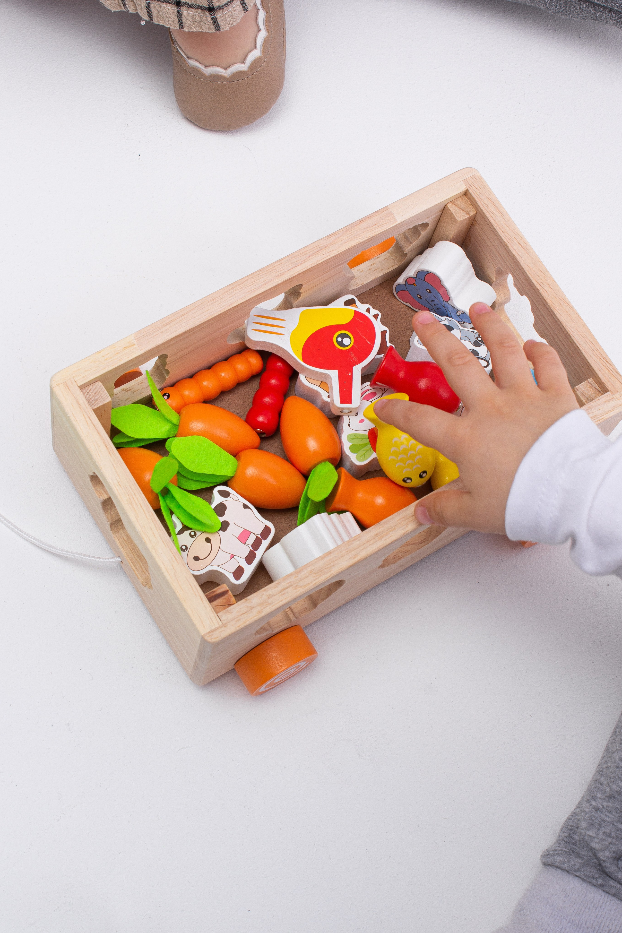 Сортер. Фото для маркетплейсов в самых сочных локациях города Сочи