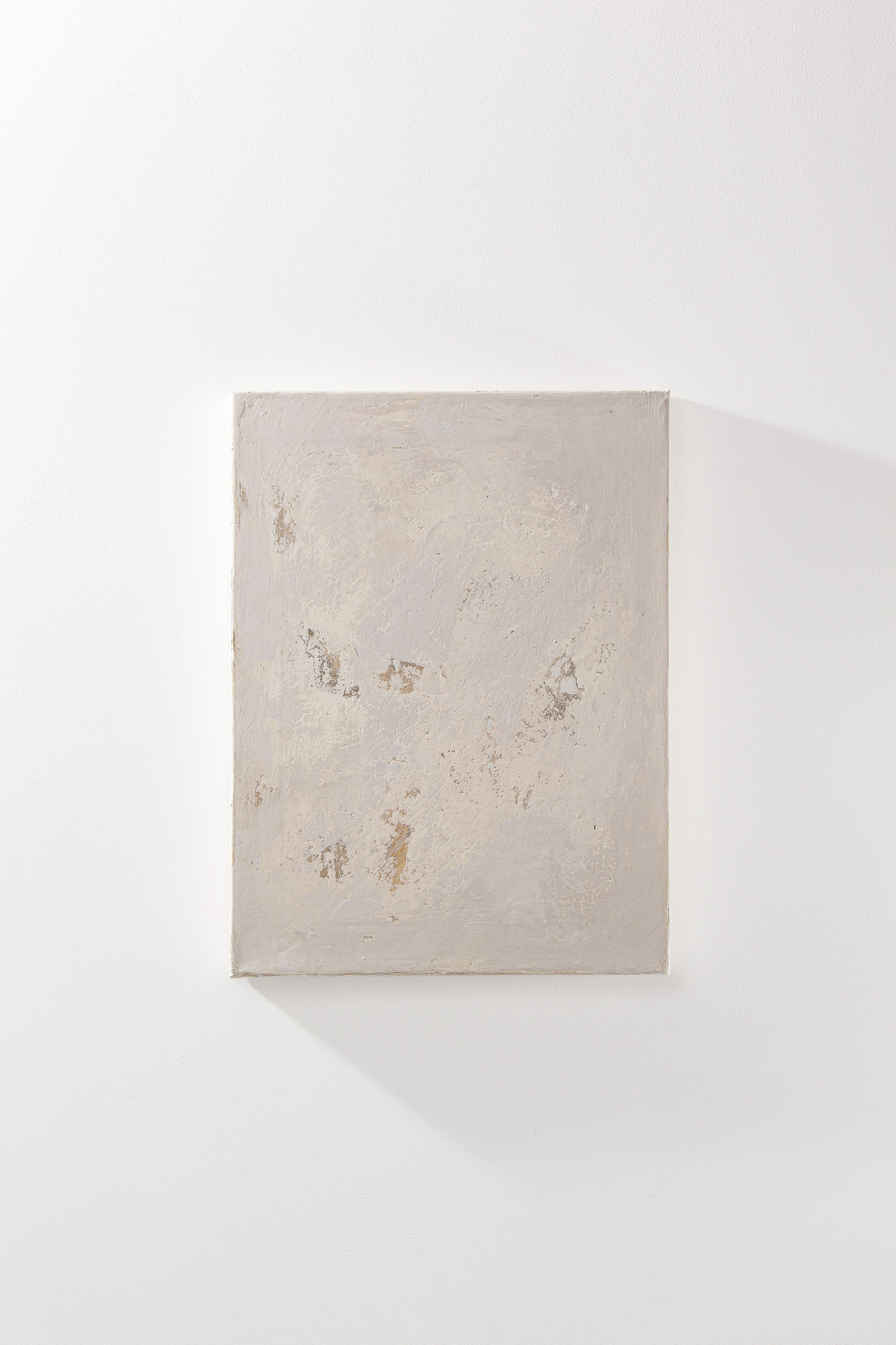 Картины. Фото для маркетплейсов в самых сочных локациях города Сочи