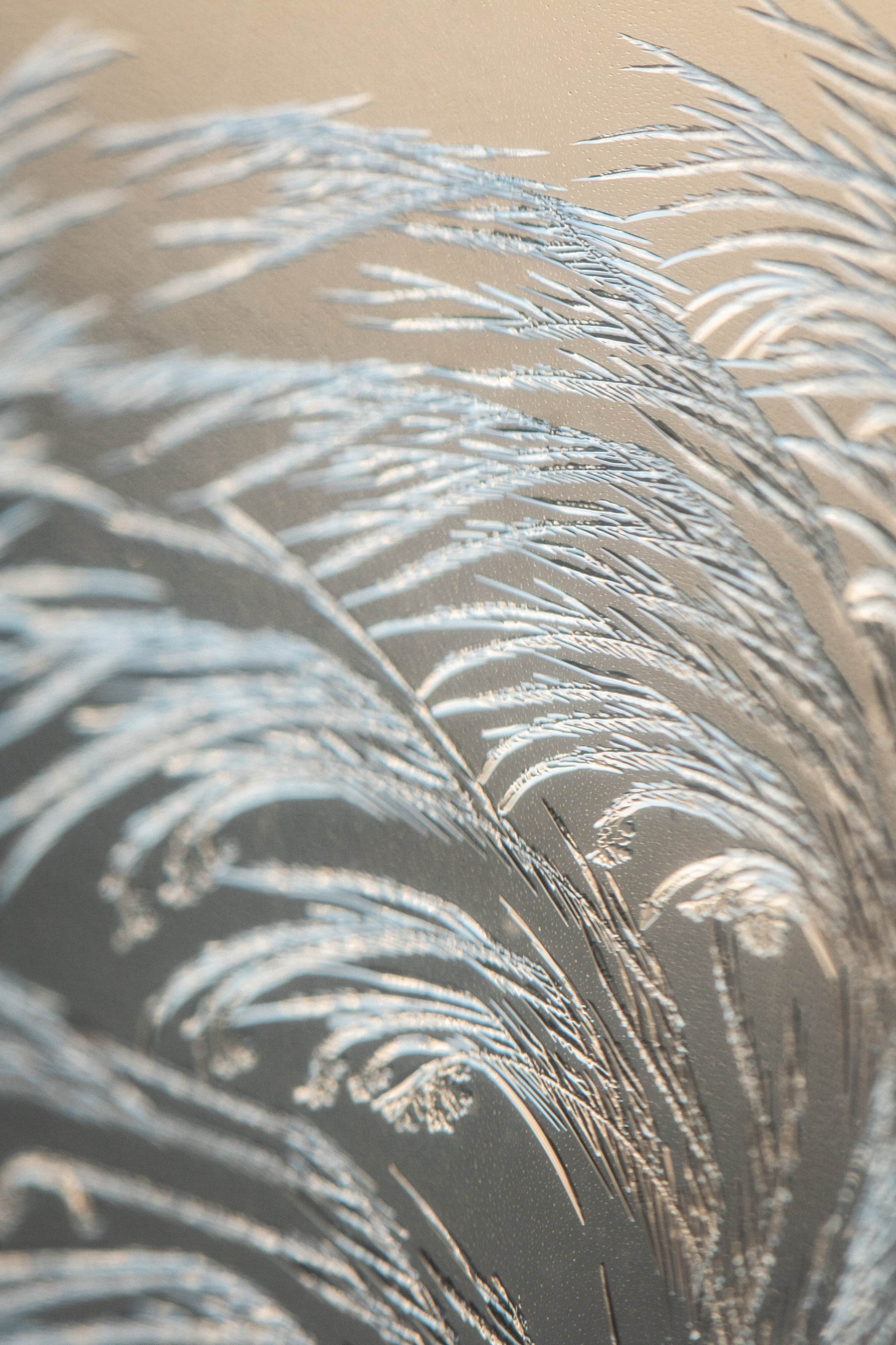 Скачать обои. Портретный и семейный фотограф во Владивостоке Светлана Мухильченко