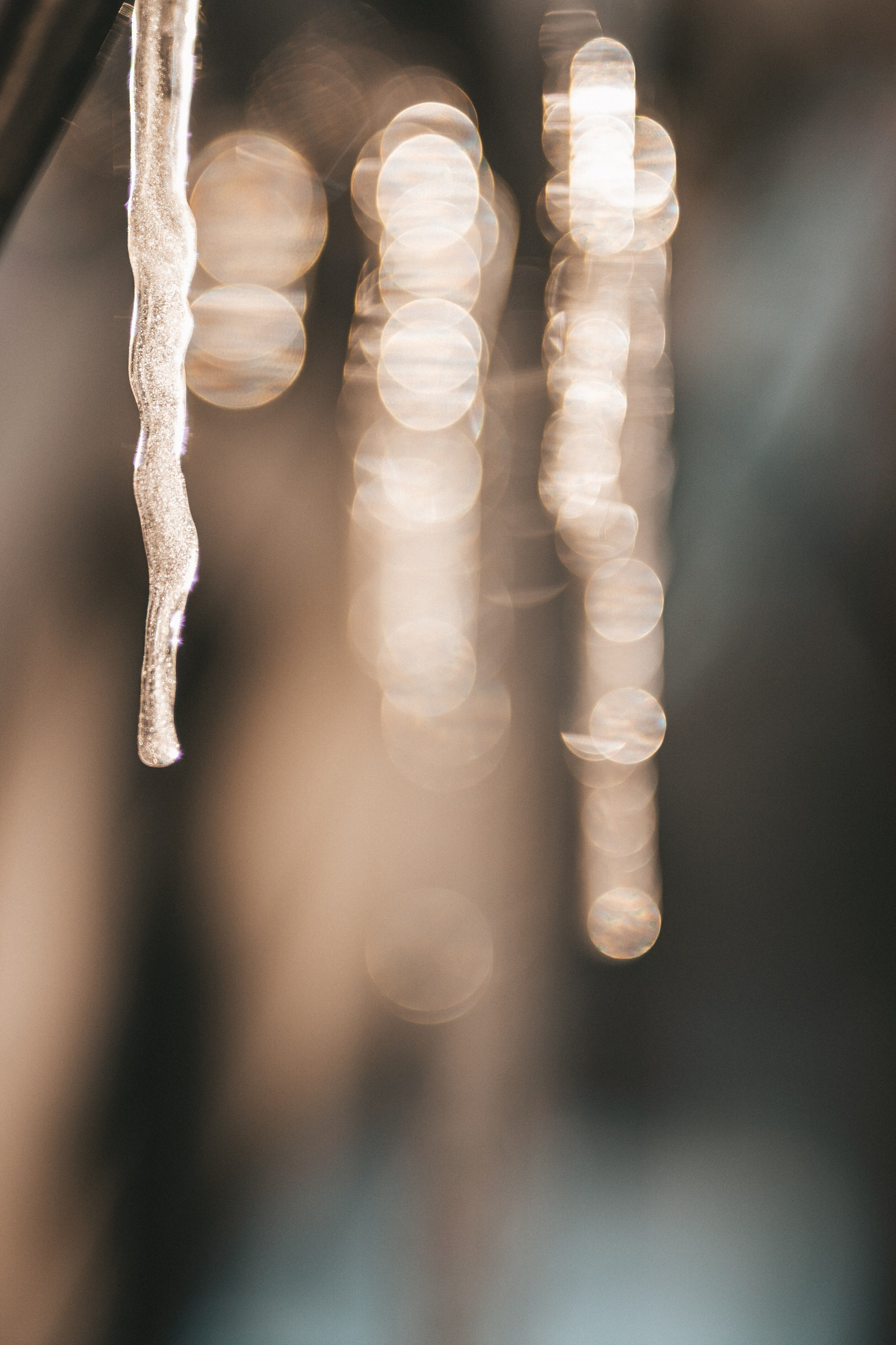 Скачать обои. Портретный и семейный фотограф во Владивостоке Светлана Мухильченко