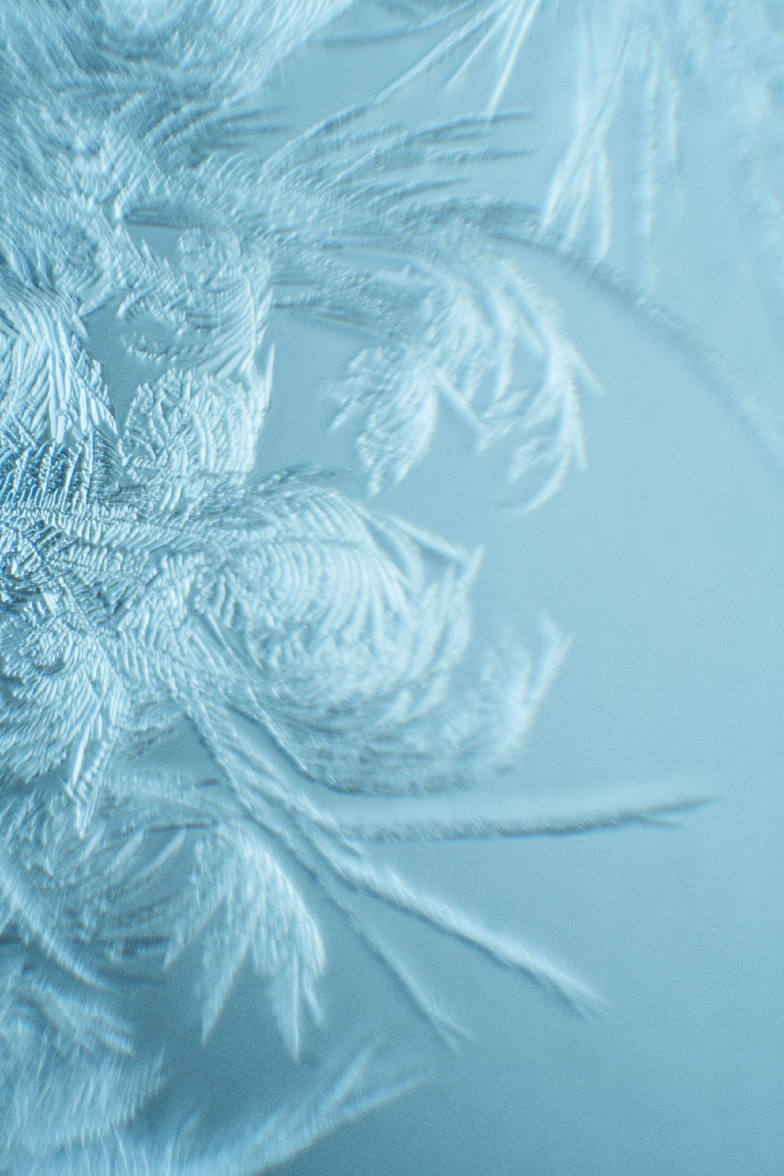 Скачать обои. Портретный и семейный фотограф во Владивостоке Светлана Мухильченко