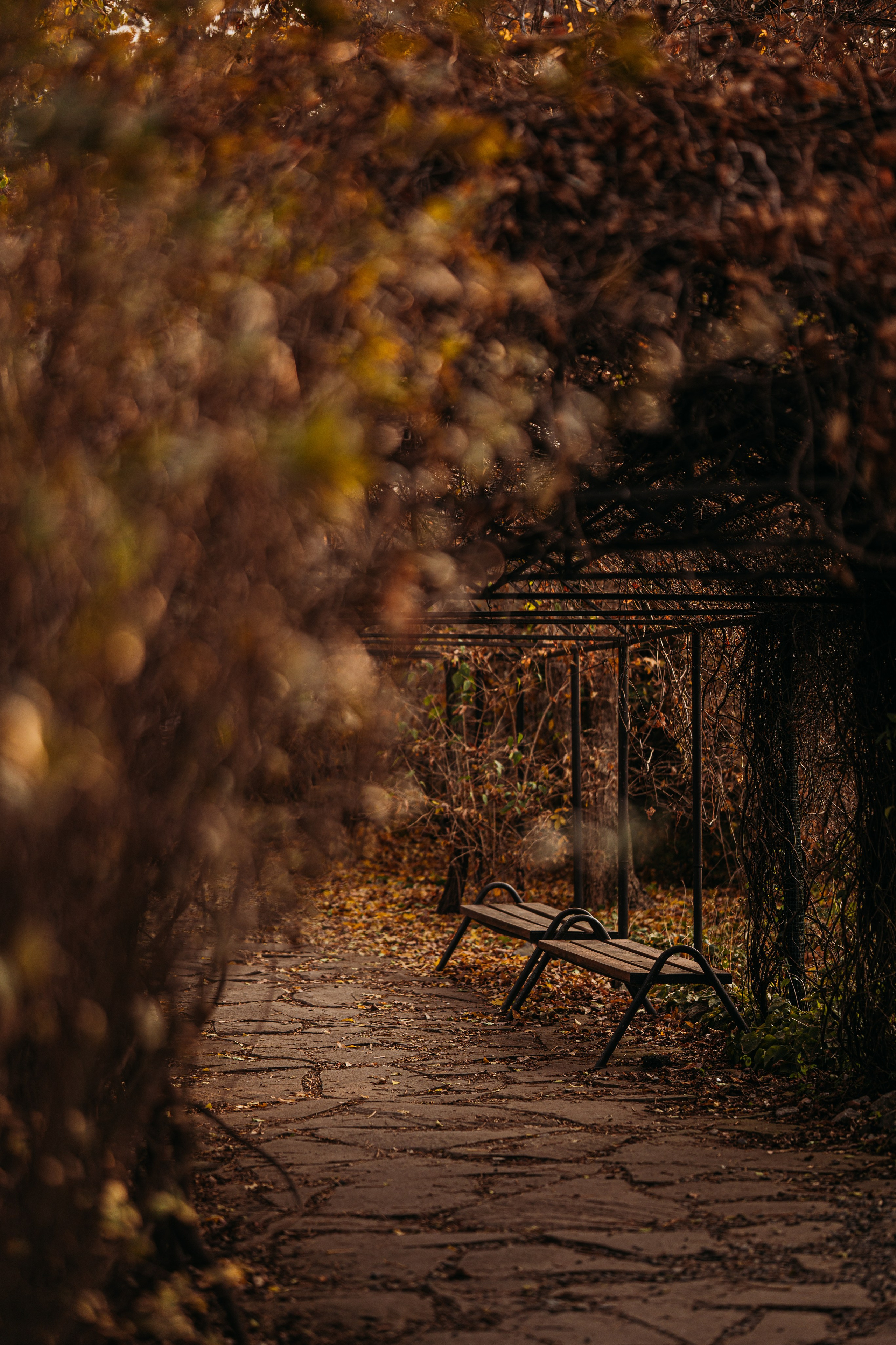 Сладкие обои. Портретный и семейный фотограф во Владивостоке Светлана Мухильченко