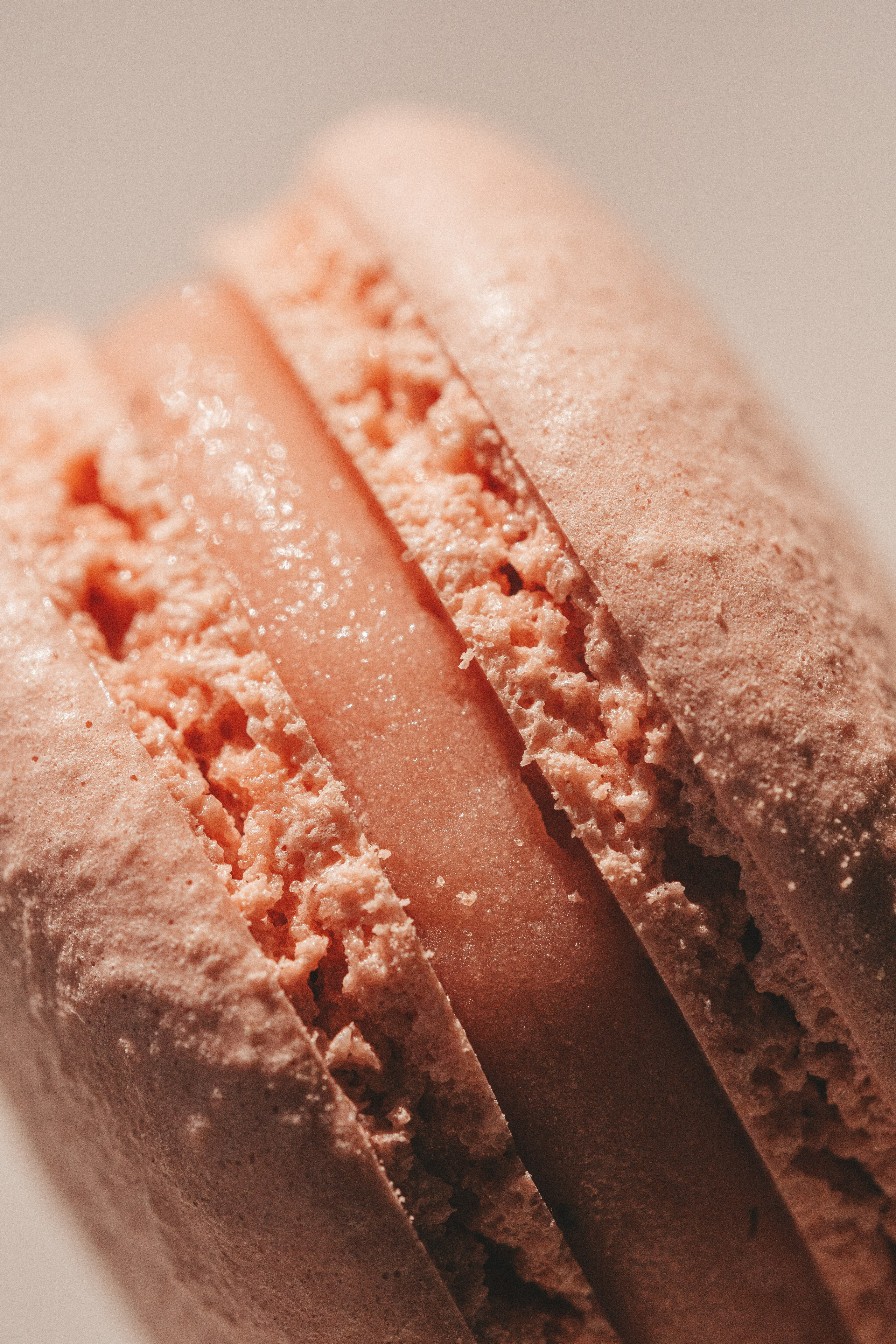 Скачать обои. Портретный и семейный фотограф во Владивостоке Светлана Мухильченко