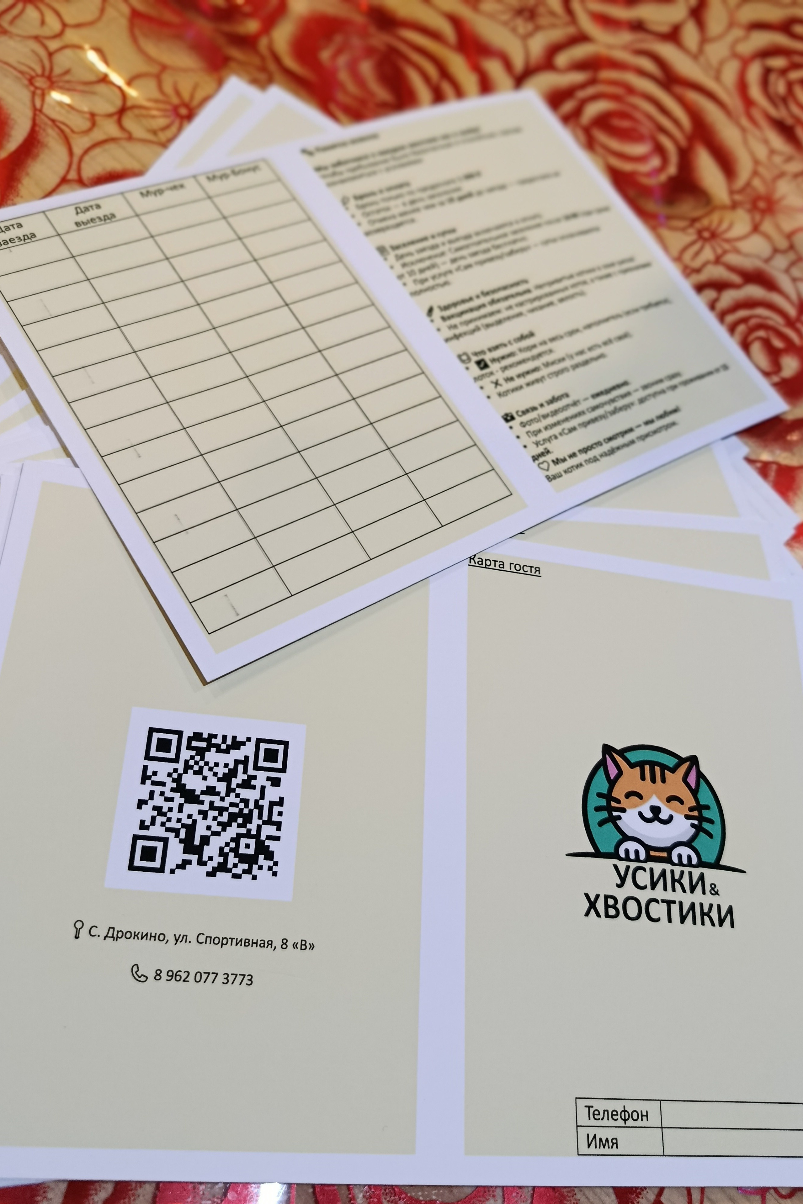 Новости и бонусы. Гостиница для кошек Усики и хвостики, Красноярск