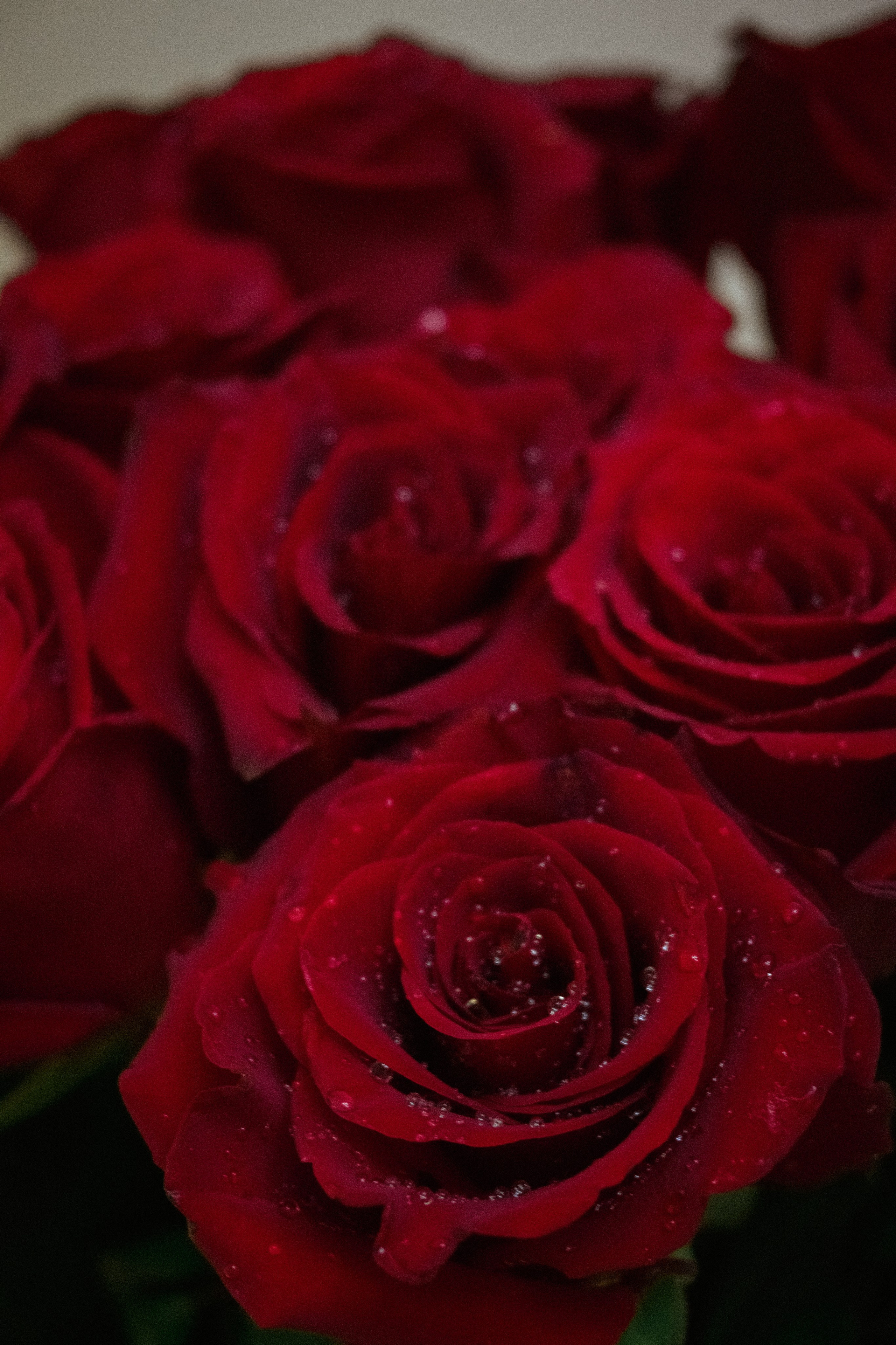 Контент фотограф Ира Кудрявцева