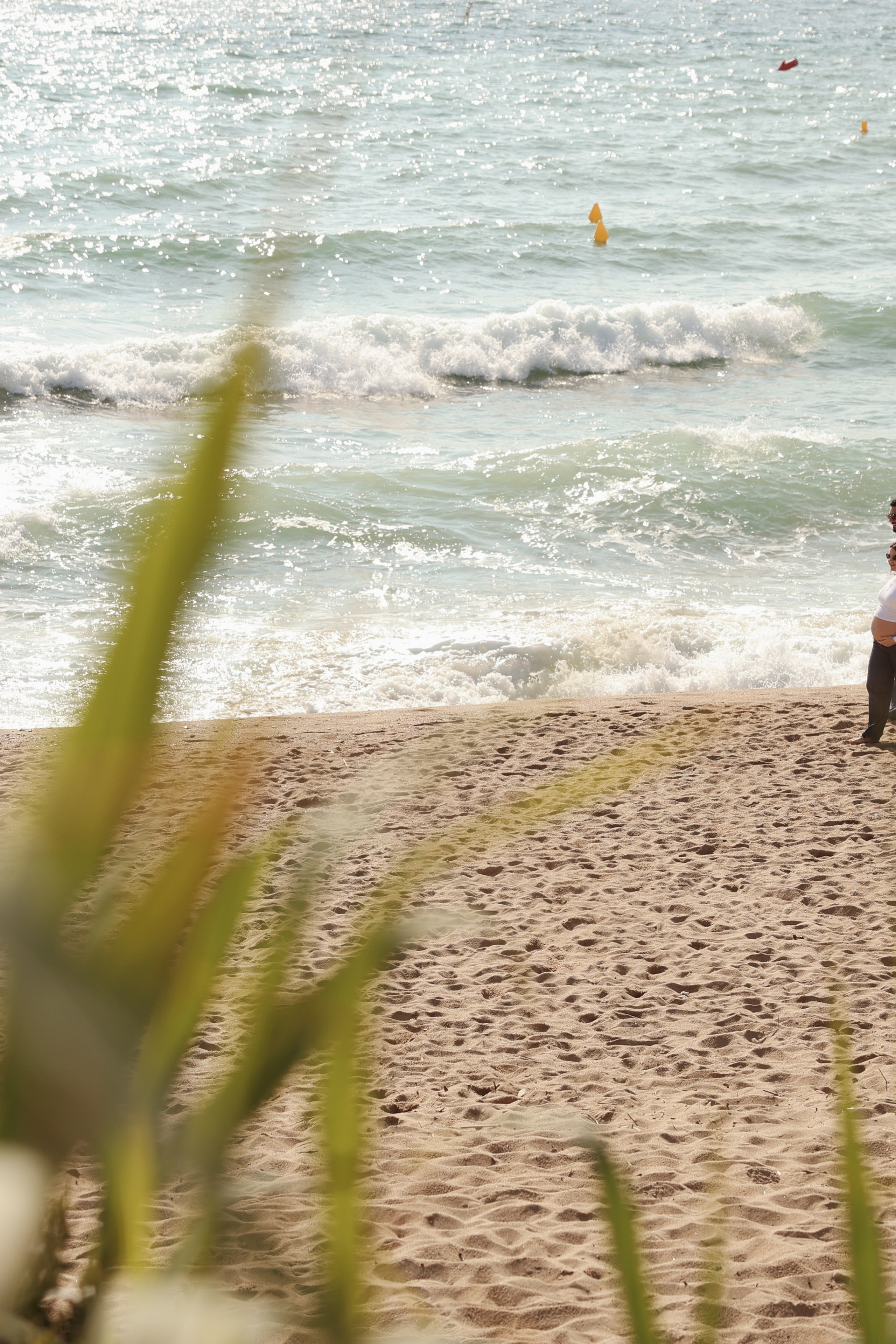 Sunny morning at the sea