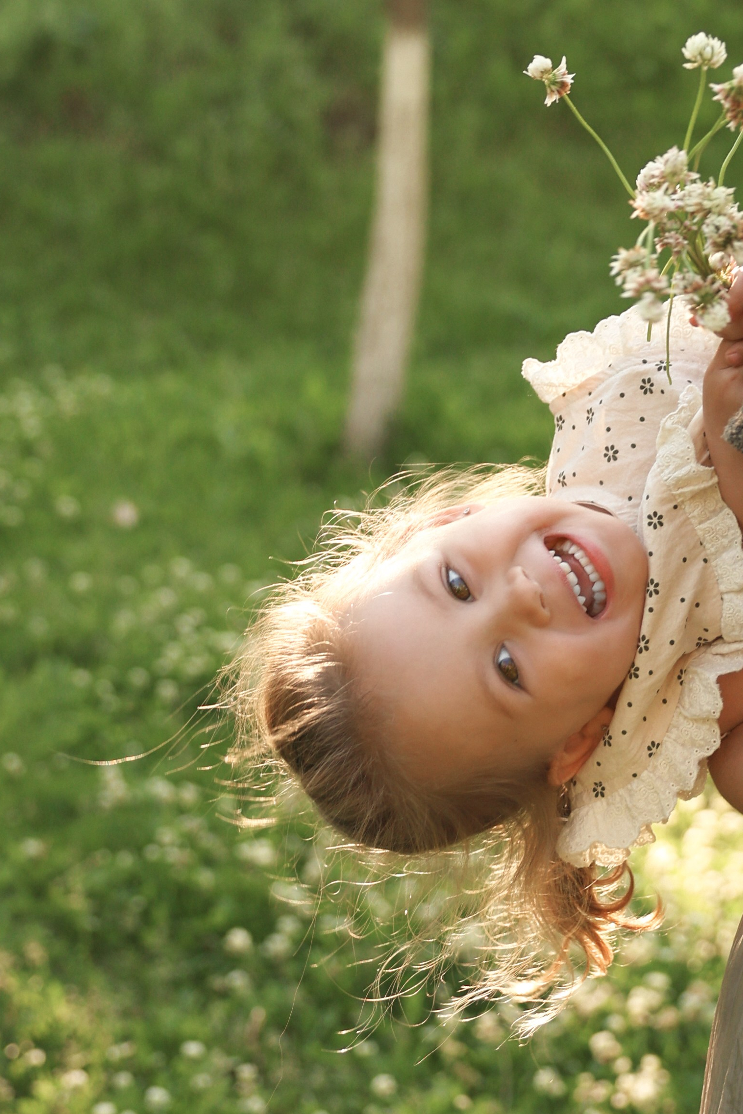 На полянке клевера