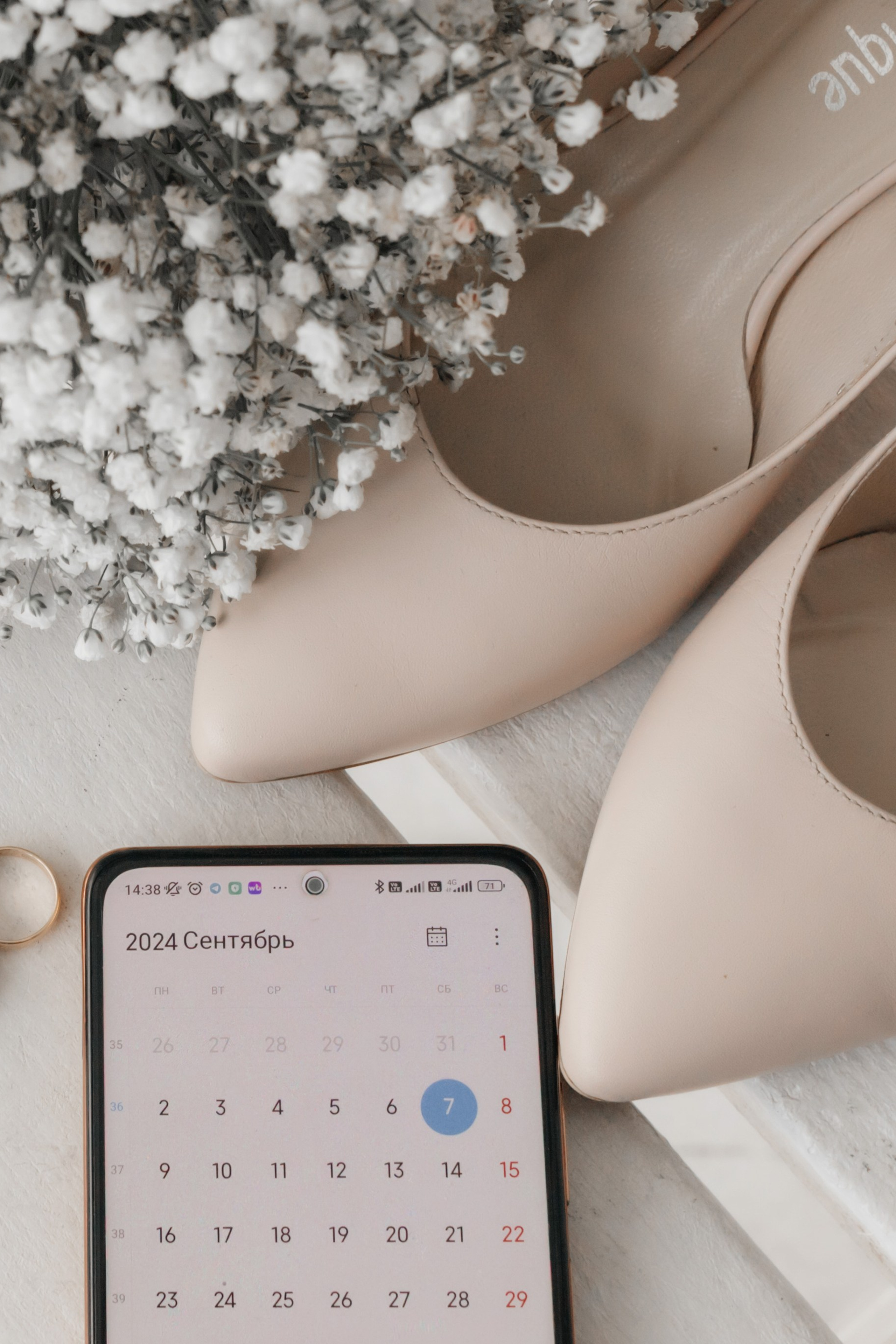 Андрей и Лиза. Камерная свадьба ЗАГС и прогулка в фотостудии СОЛЬ