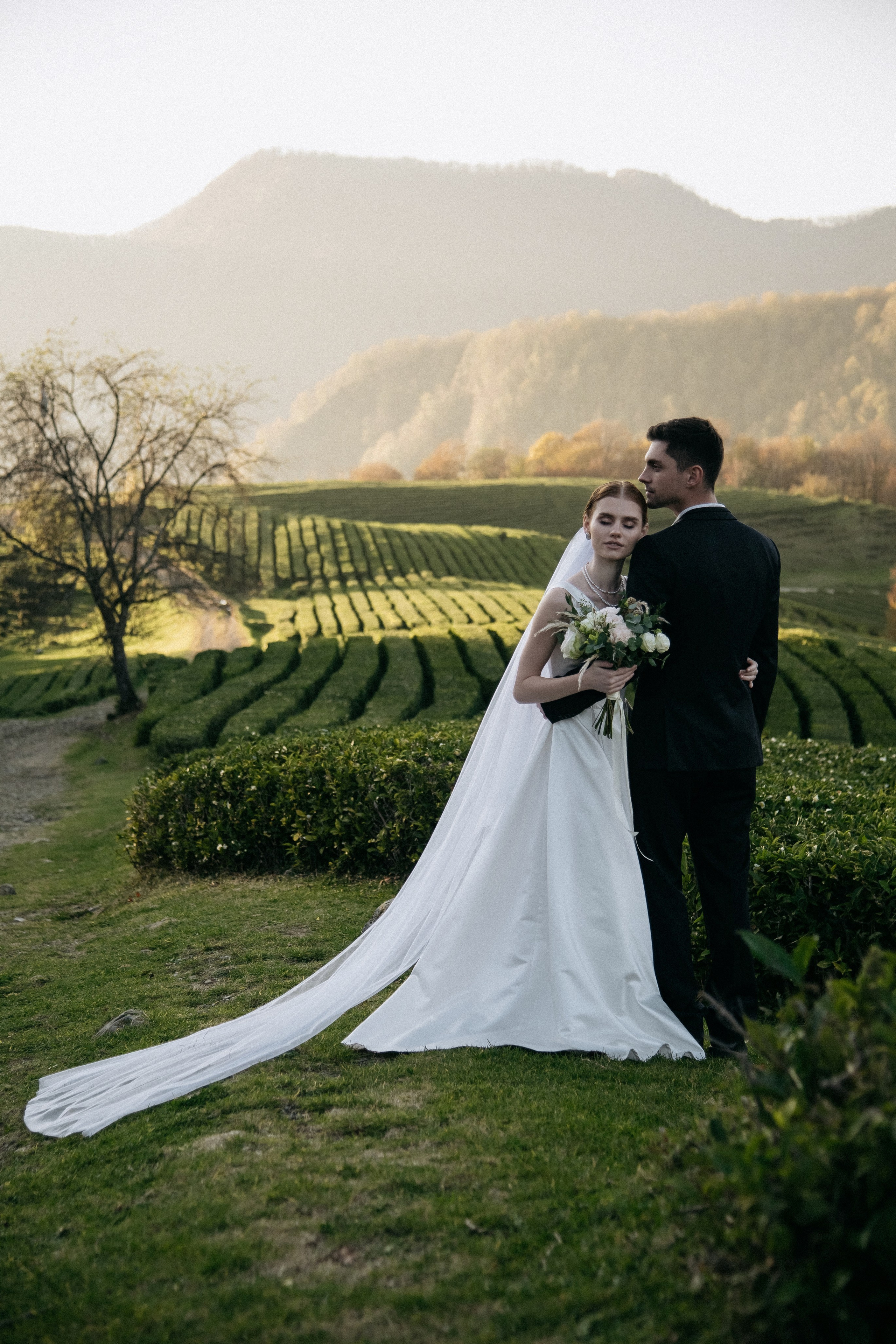 Чайные плантации Сочи